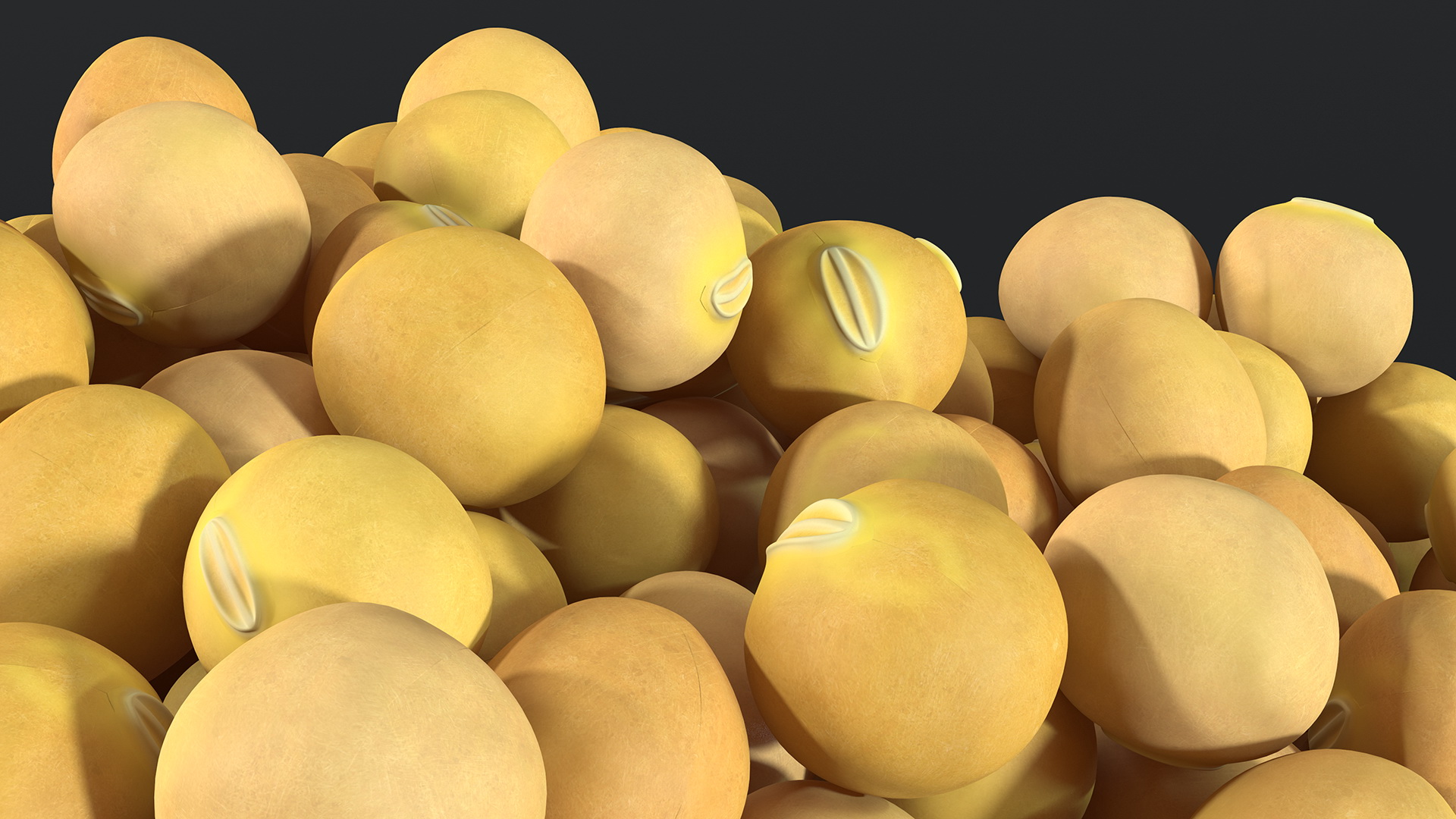 3D Pile of Soybeans