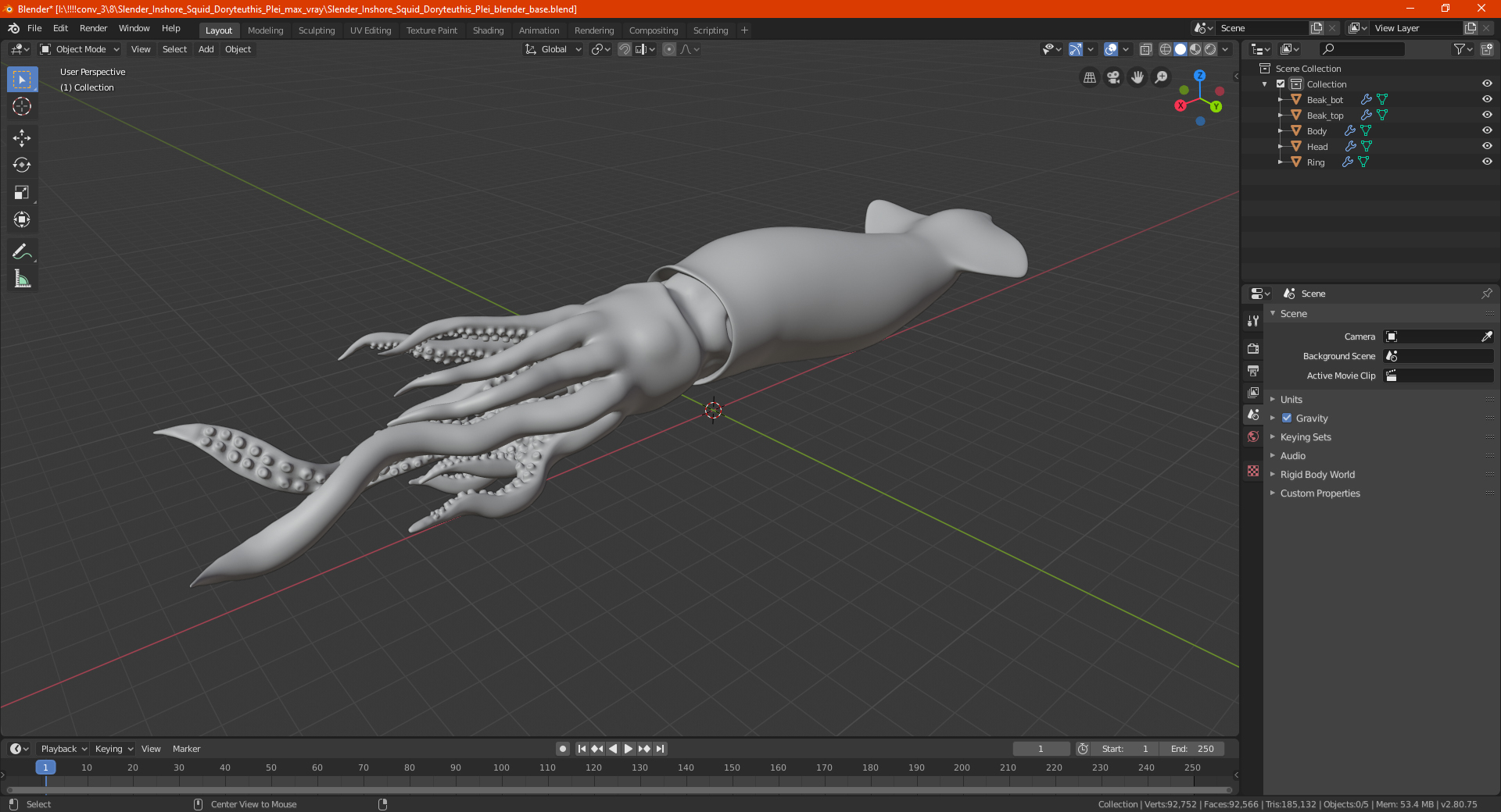 3D Slender Inshore Squid Doryteuthis Plei model