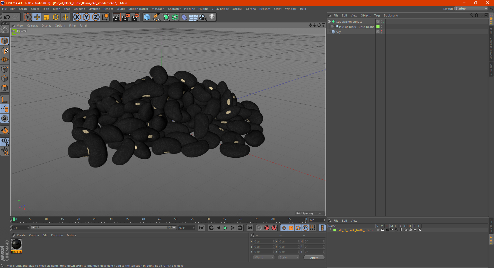 3D Pile of Black Turtle Beans