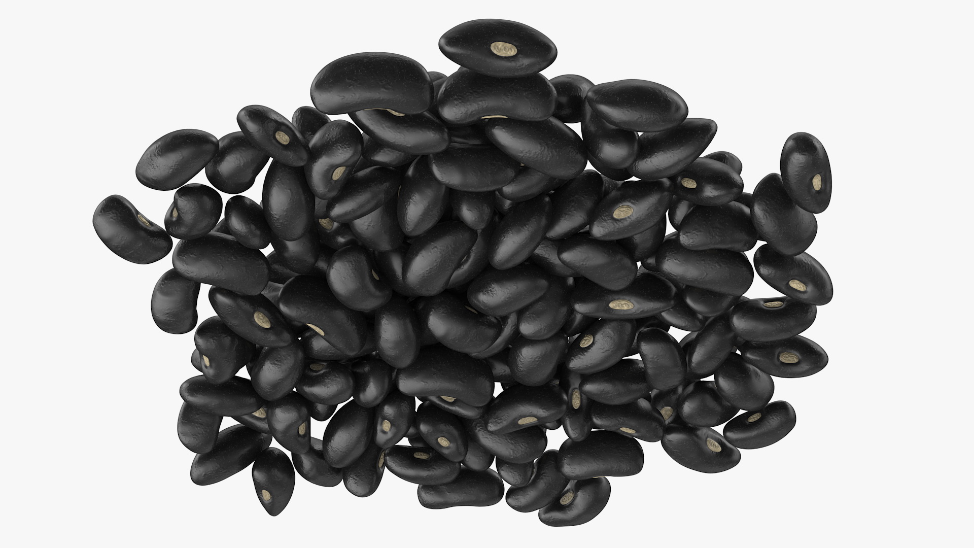 3D Pile of Black Turtle Beans
