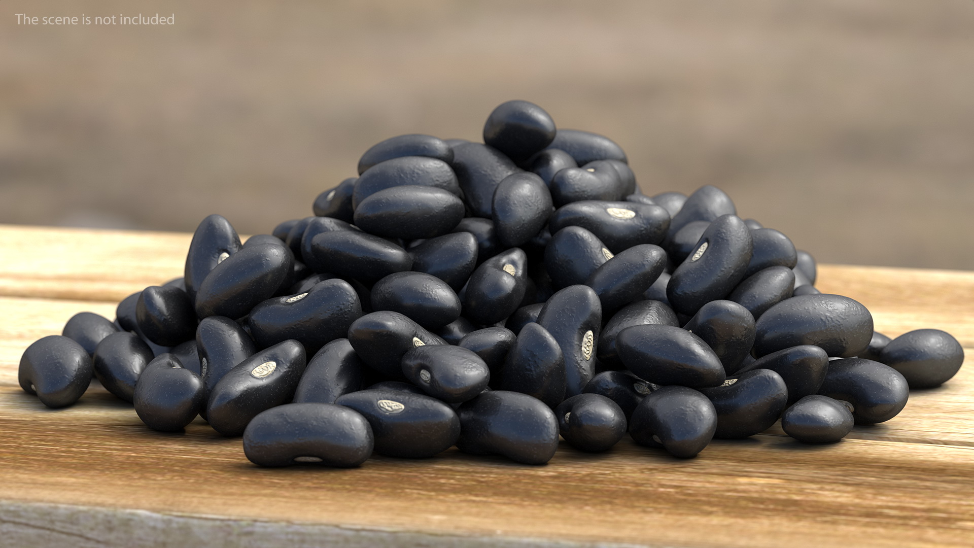 3D Pile of Black Turtle Beans