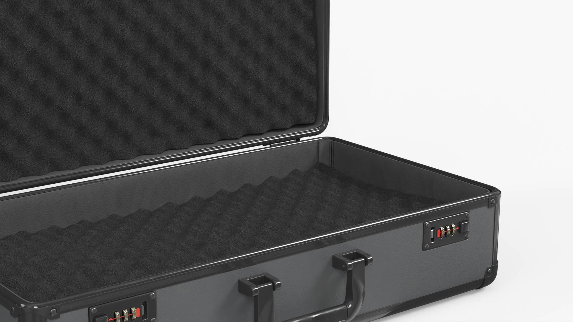 Protective Carry Case with Locks and Foam Insert Black - view 4