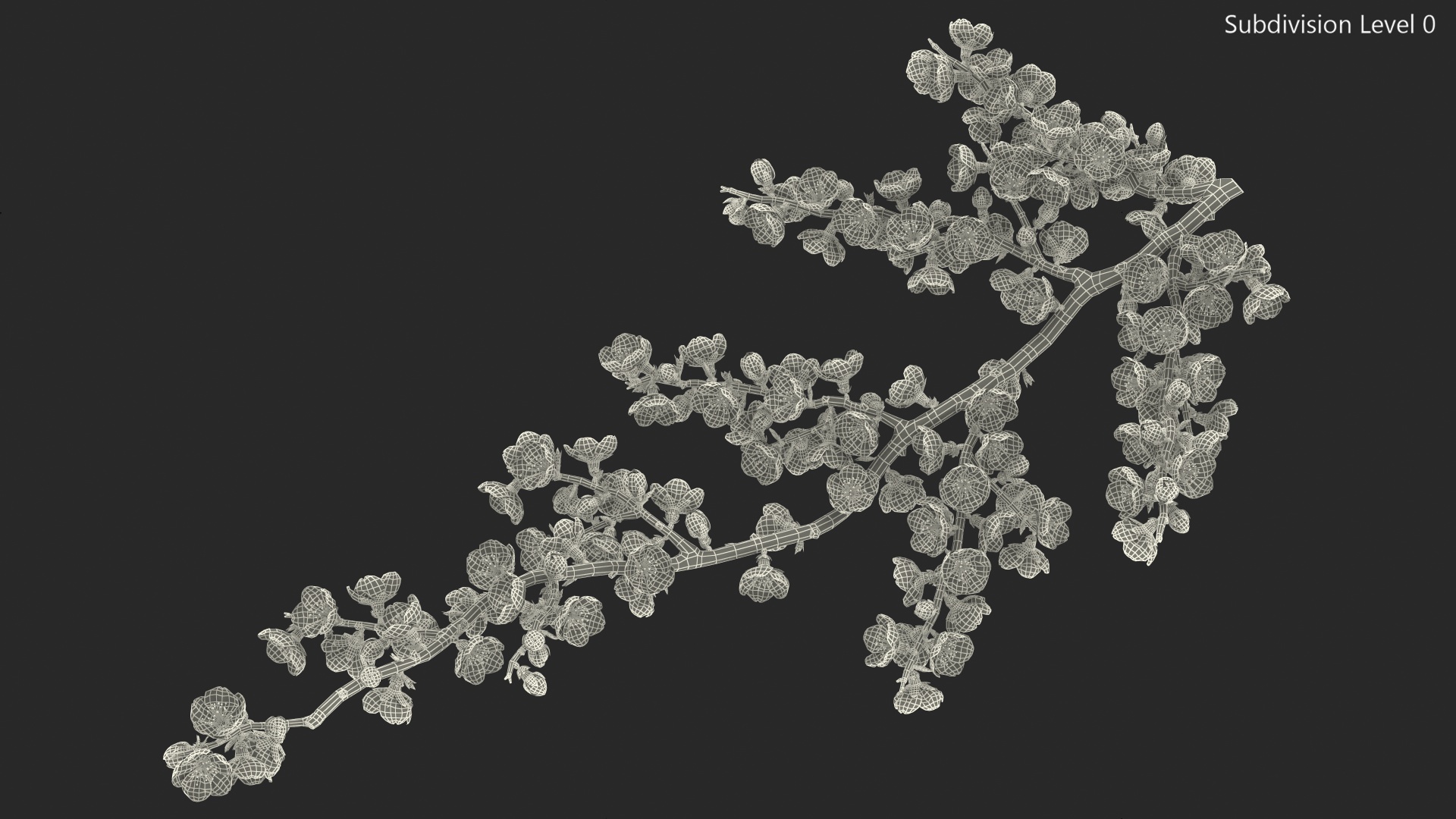 3D Yellow Cherry Blossom Branch model