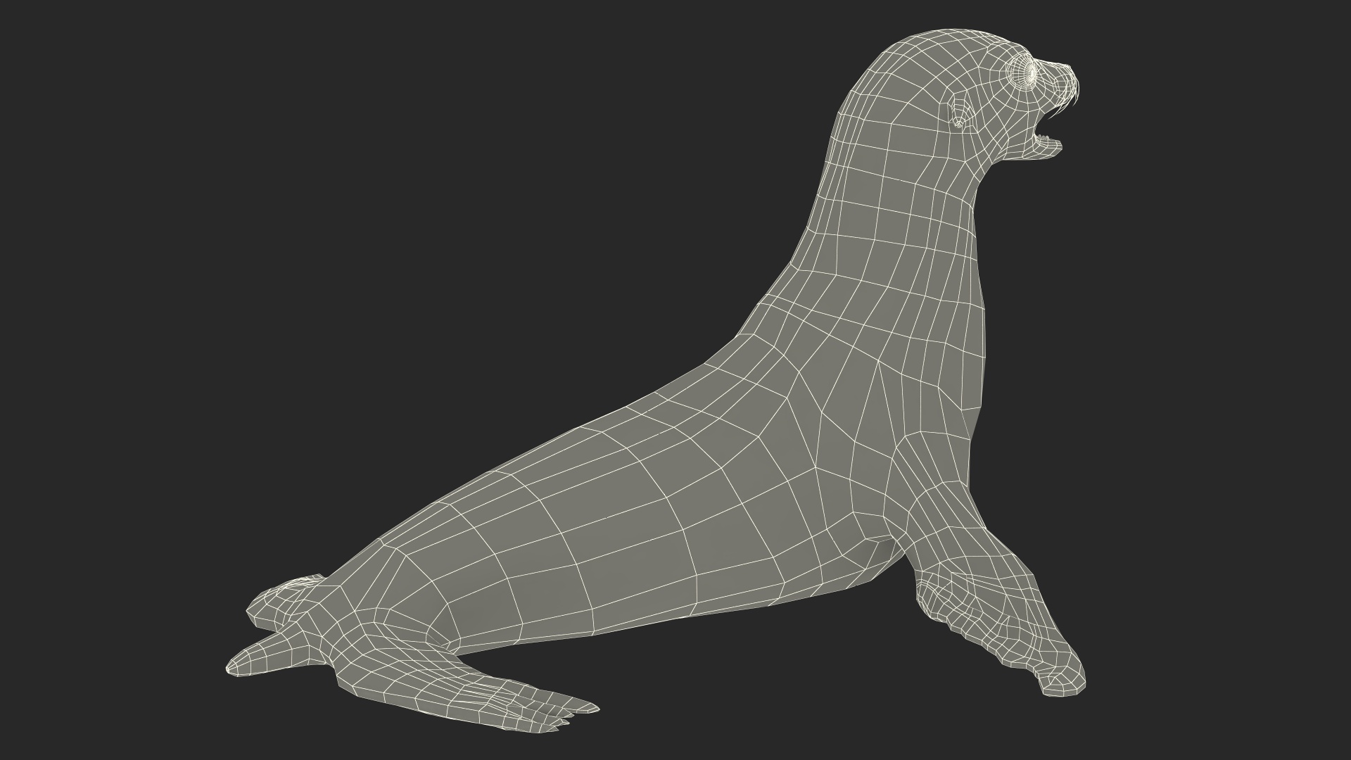 California Sea Lion 3D model