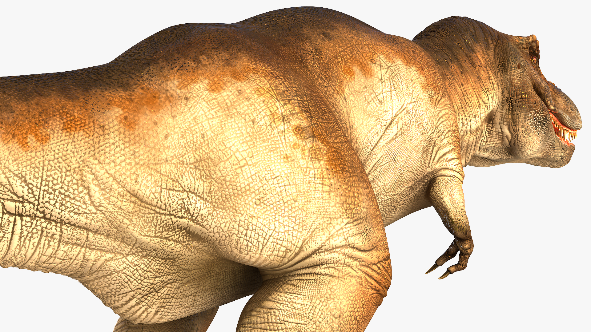 3D Animated Tyrannosaurus Rex Waiting Rigged