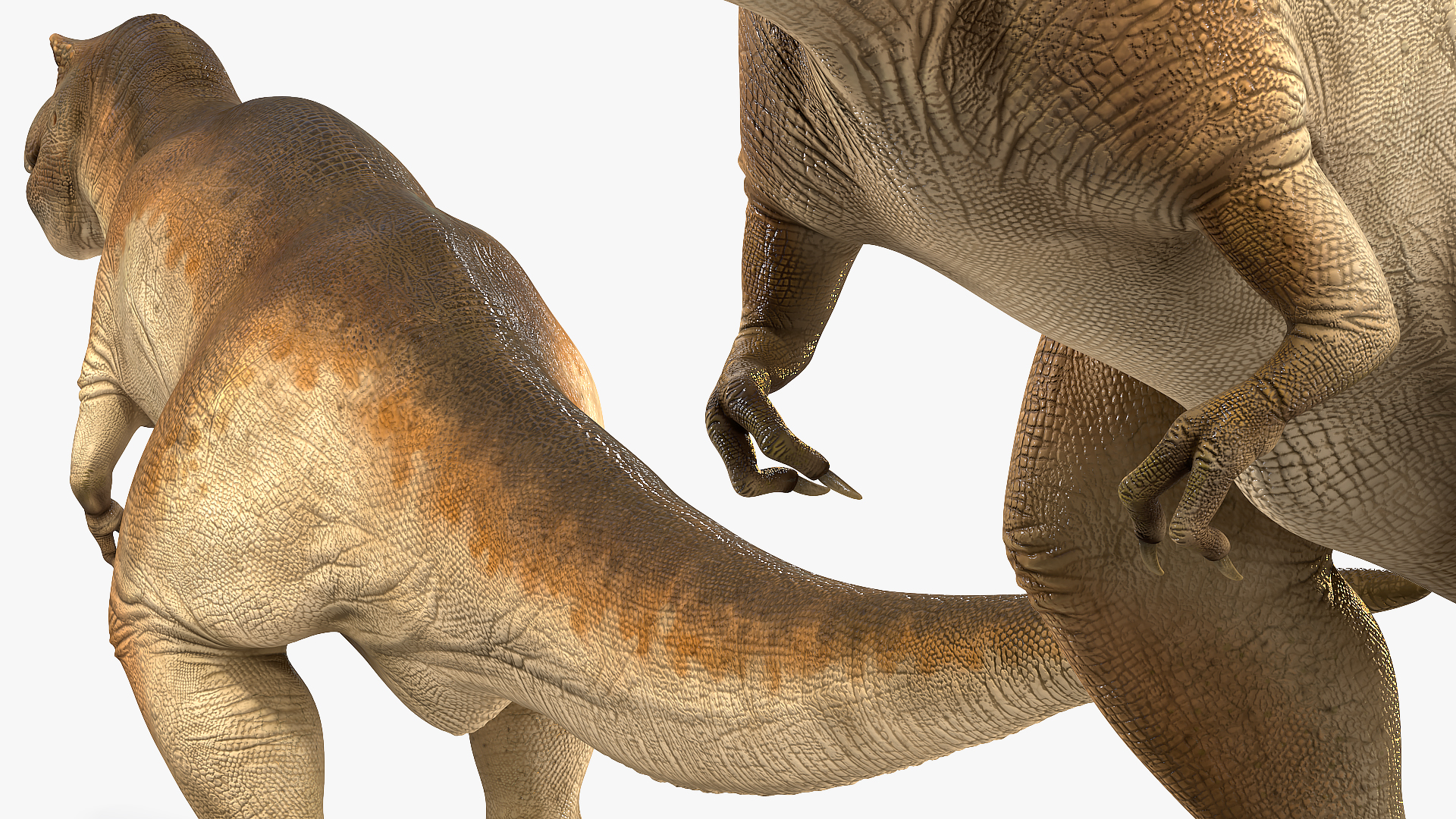3D Animated Tyrannosaurus Rex Waiting Rigged