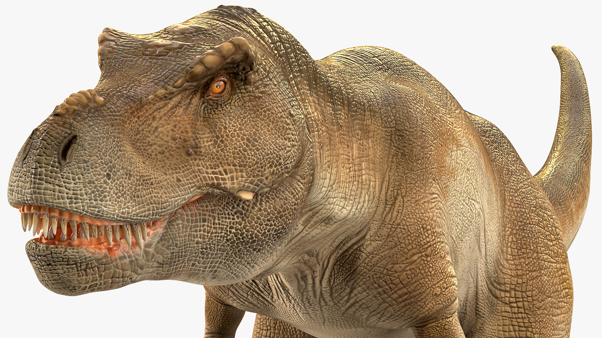 3D Animated Tyrannosaurus Rex Waiting Rigged
