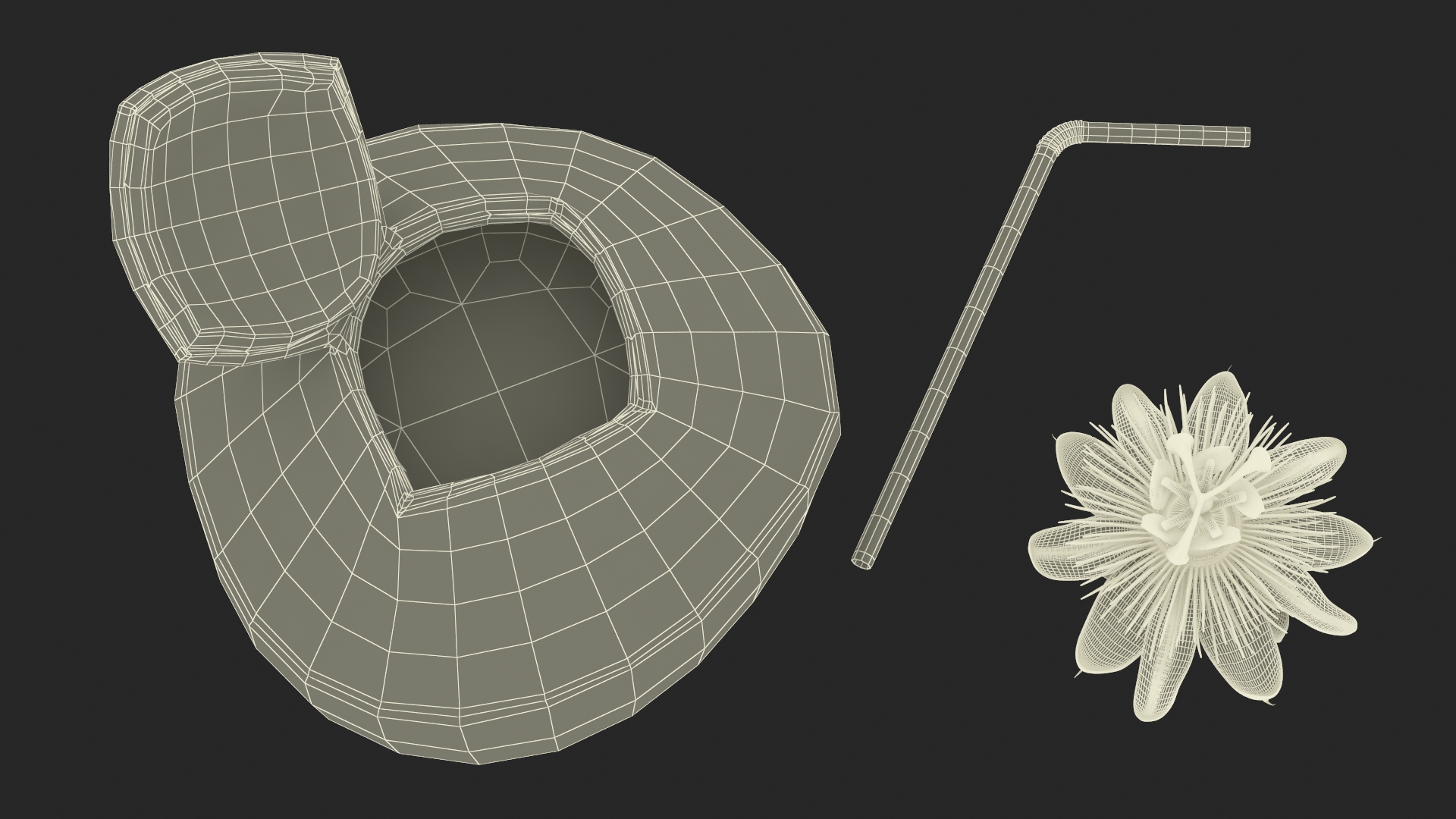 Tropical Coconut Drink with Passion Flower 3D