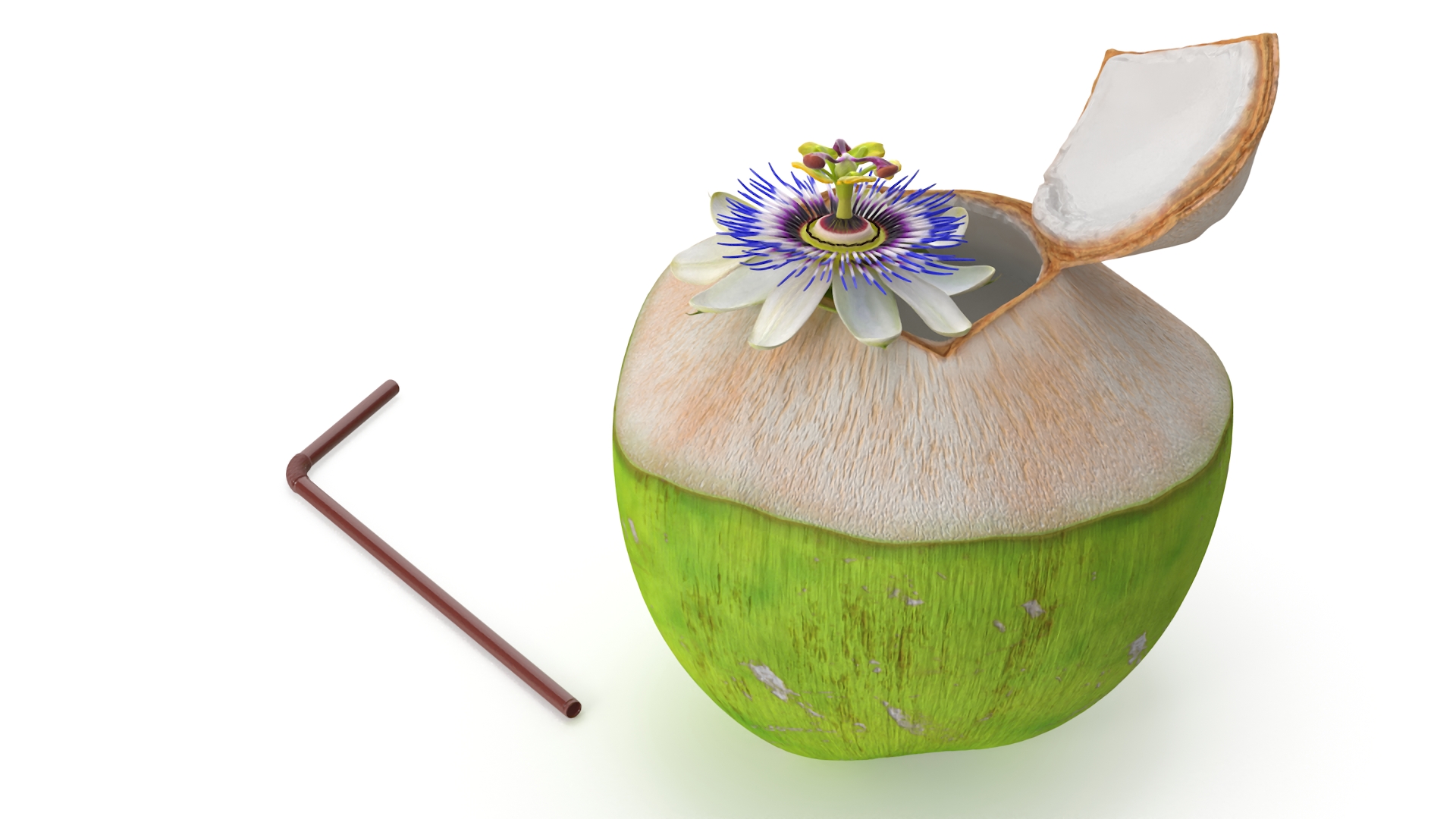 Tropical Coconut Drink with Passion Flower 3D