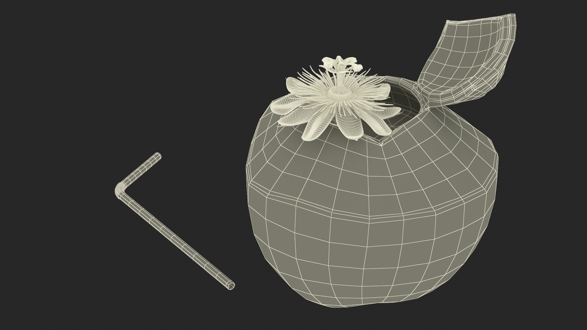 Tropical Coconut Drink with Passion Flower 3D