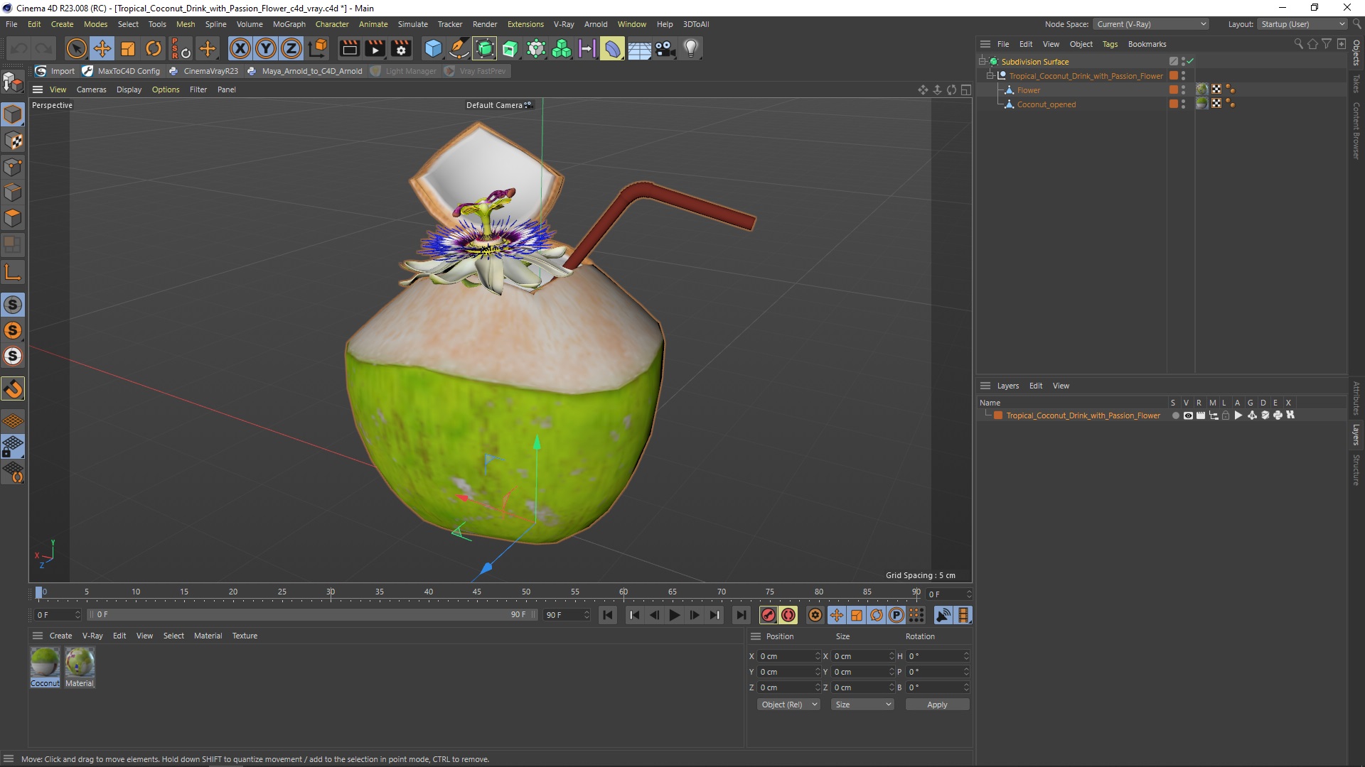Tropical Coconut Drink with Passion Flower 3D