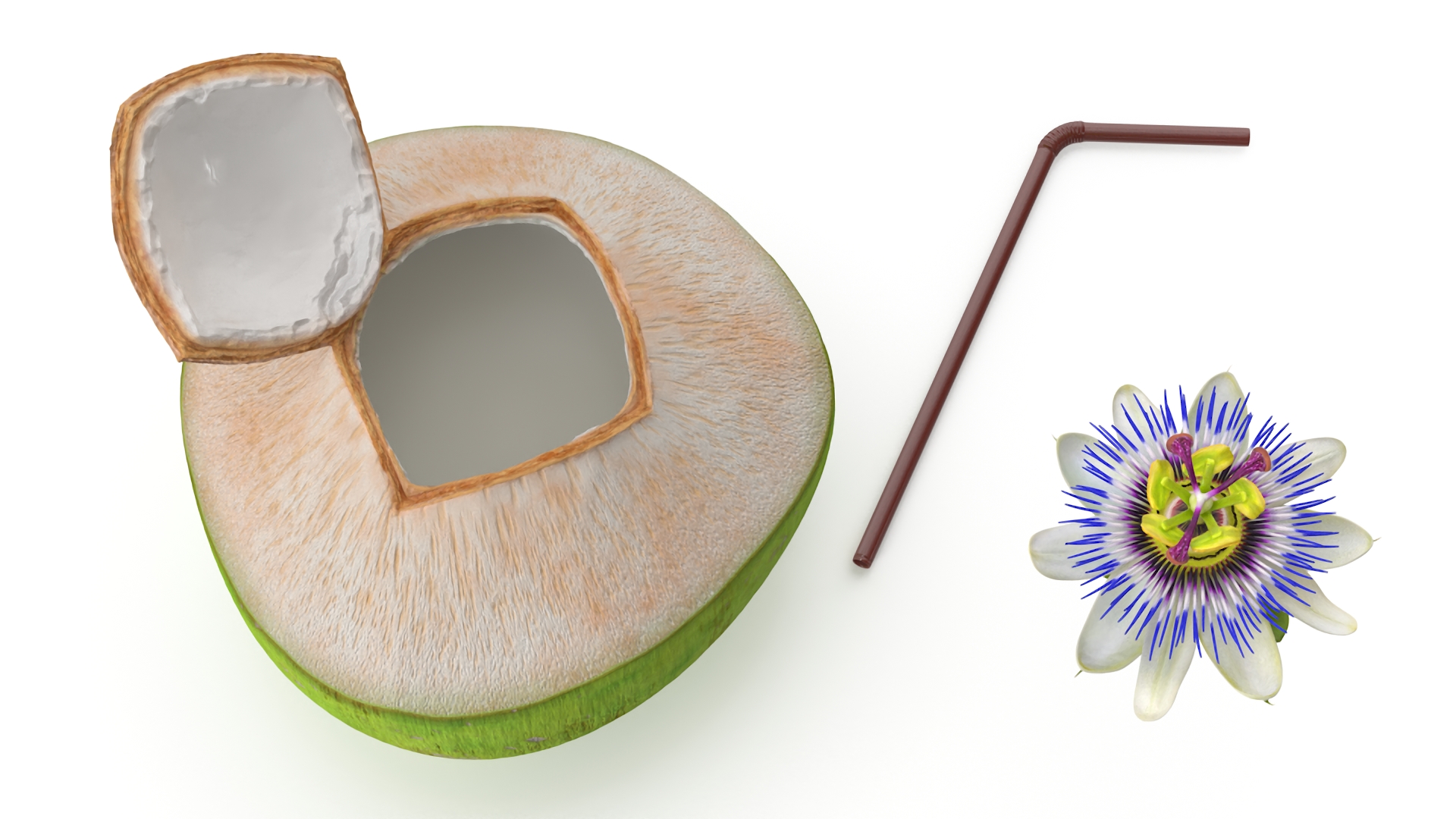 Tropical Coconut Drink with Passion Flower 3D
