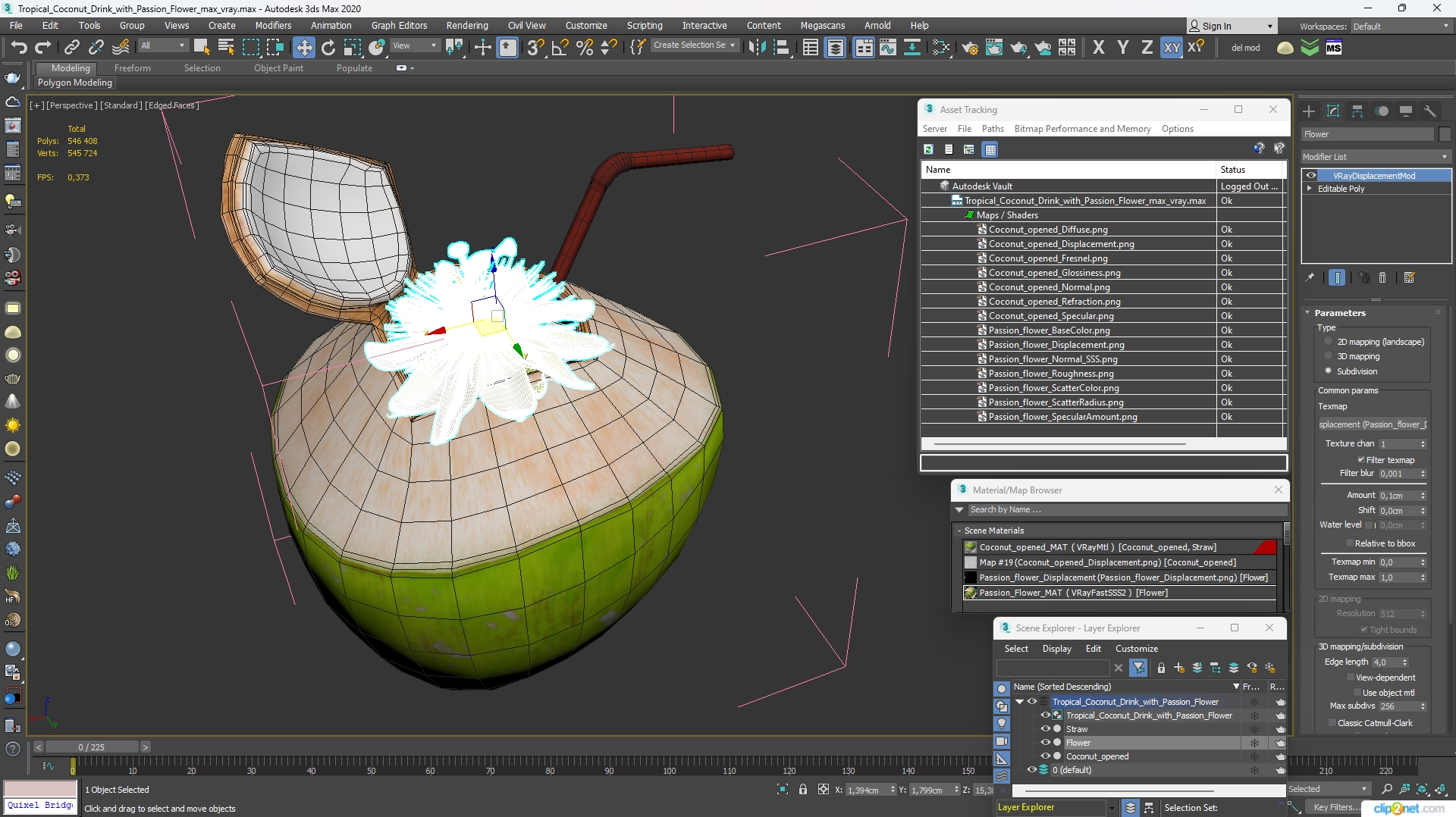 Tropical Coconut Drink with Passion Flower 3D
