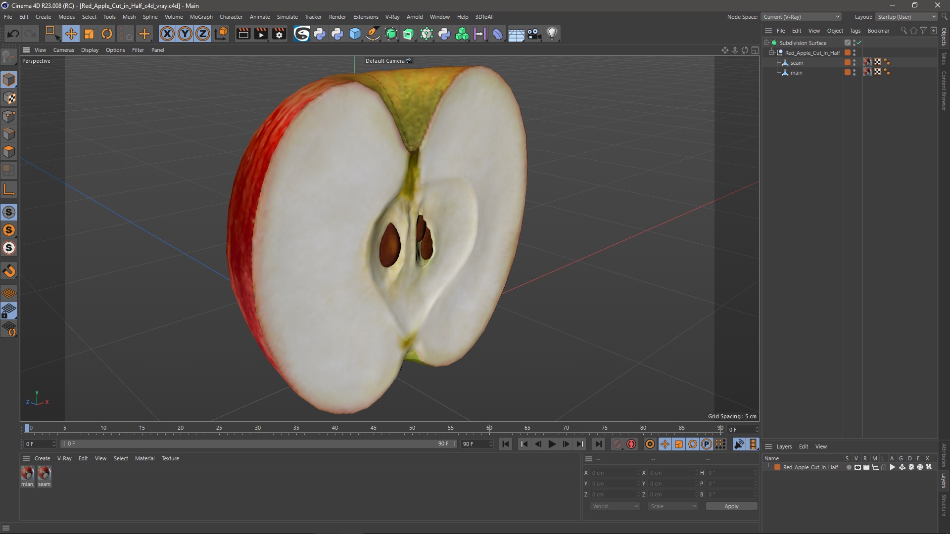 3D Half Sliced Red Apple