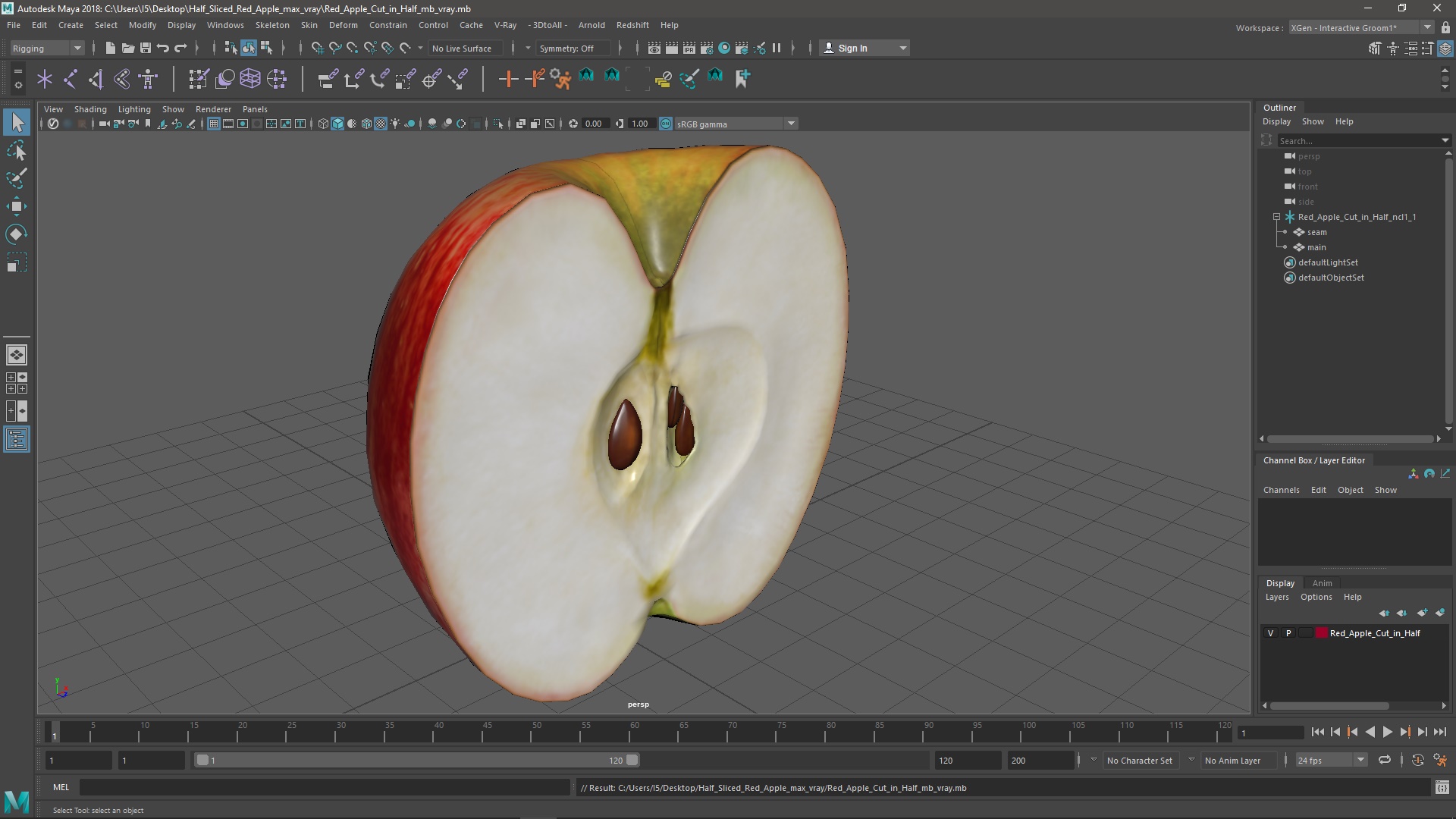 3D Half Sliced Red Apple