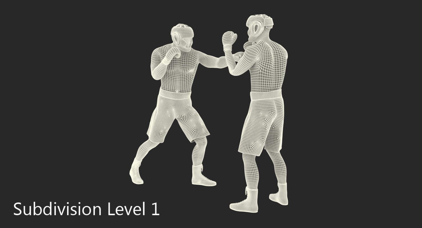 Two Boxers 3 3D