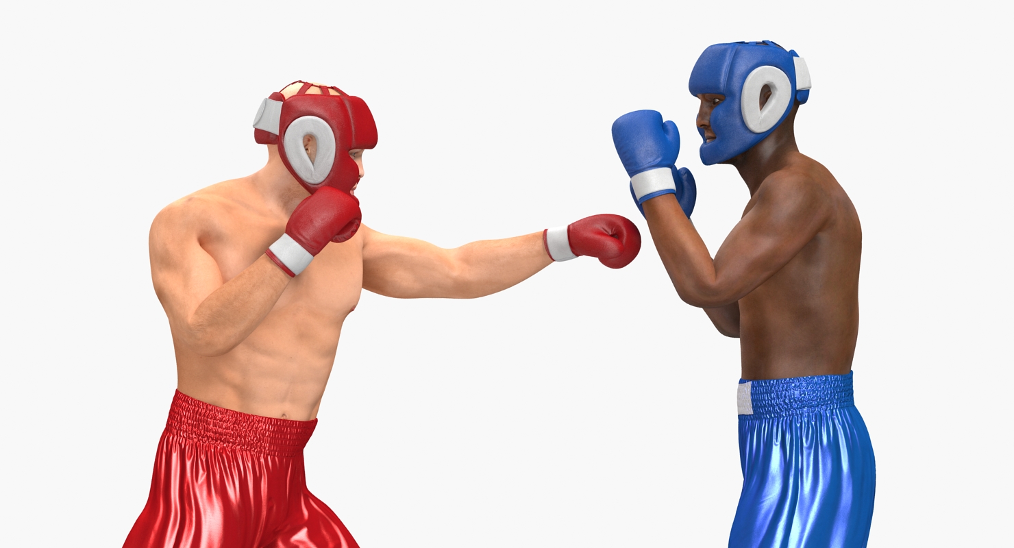 Two Boxers 3 3D