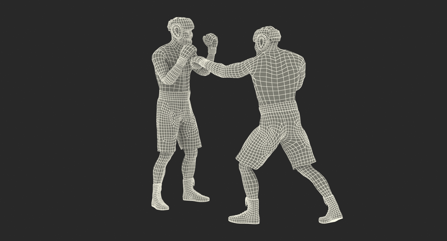 Two Boxers 3 3D