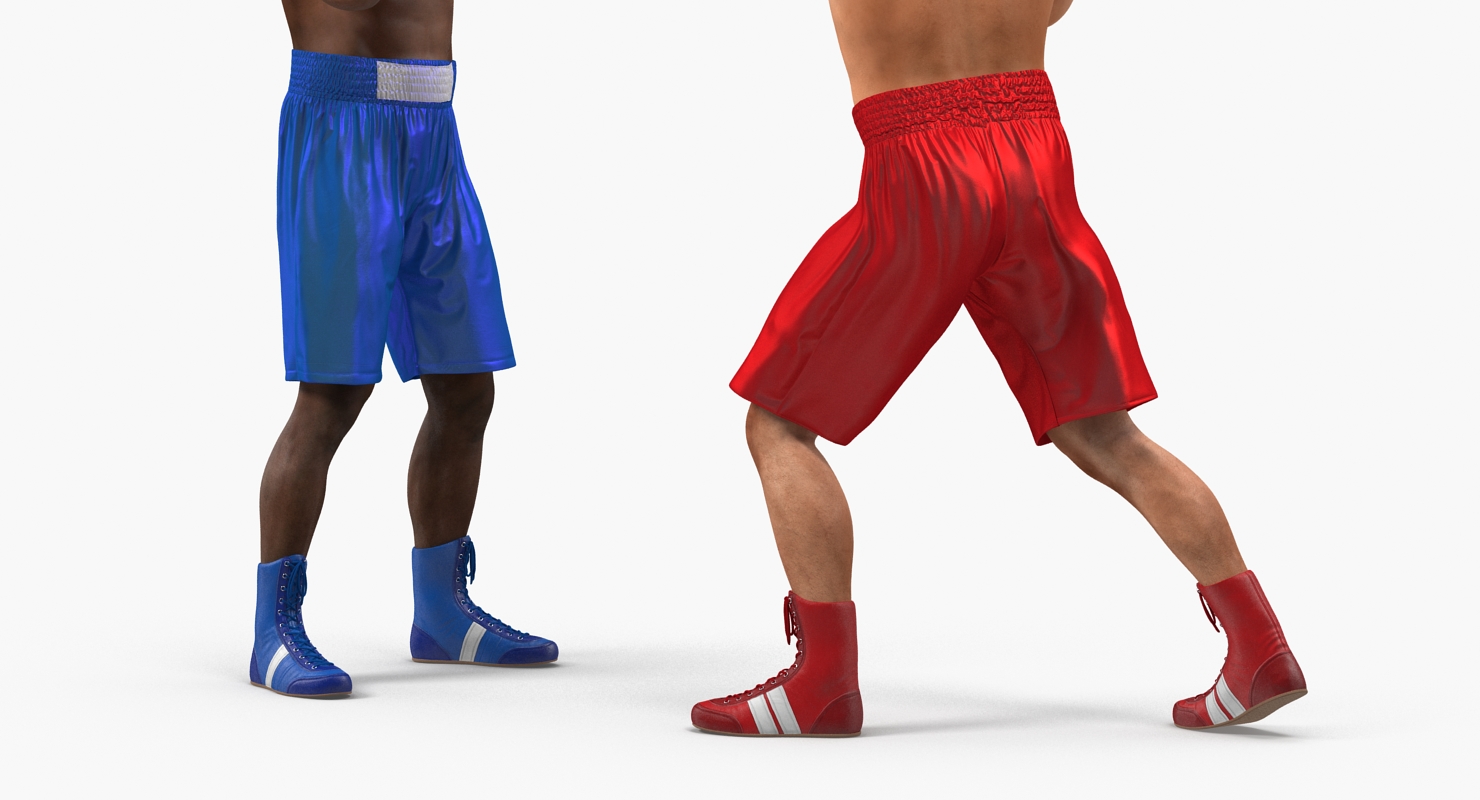 Two Boxers 3 3D