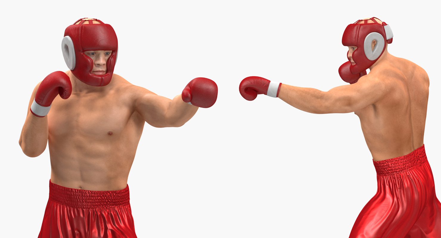 Two Boxers 3 3D