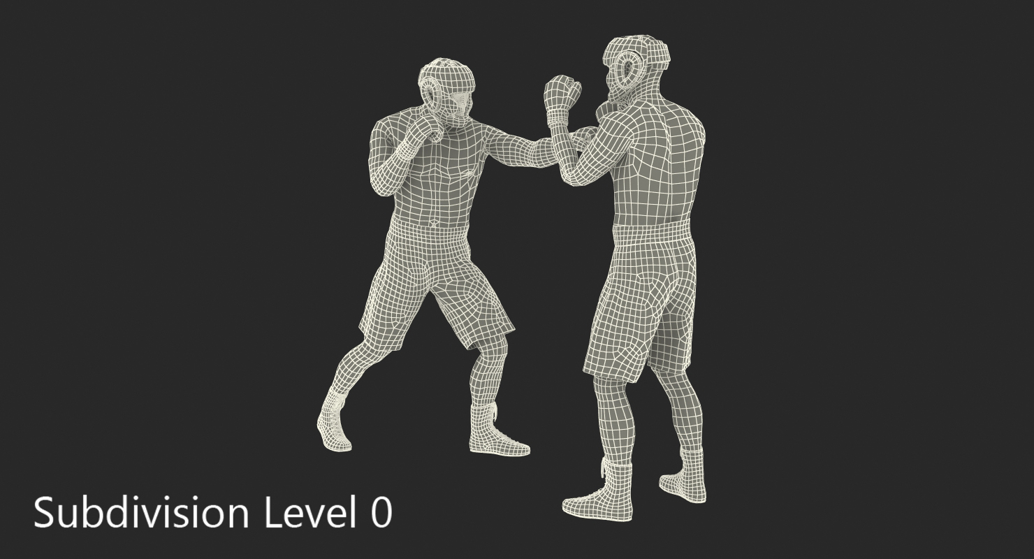 Two Boxers 3 3D