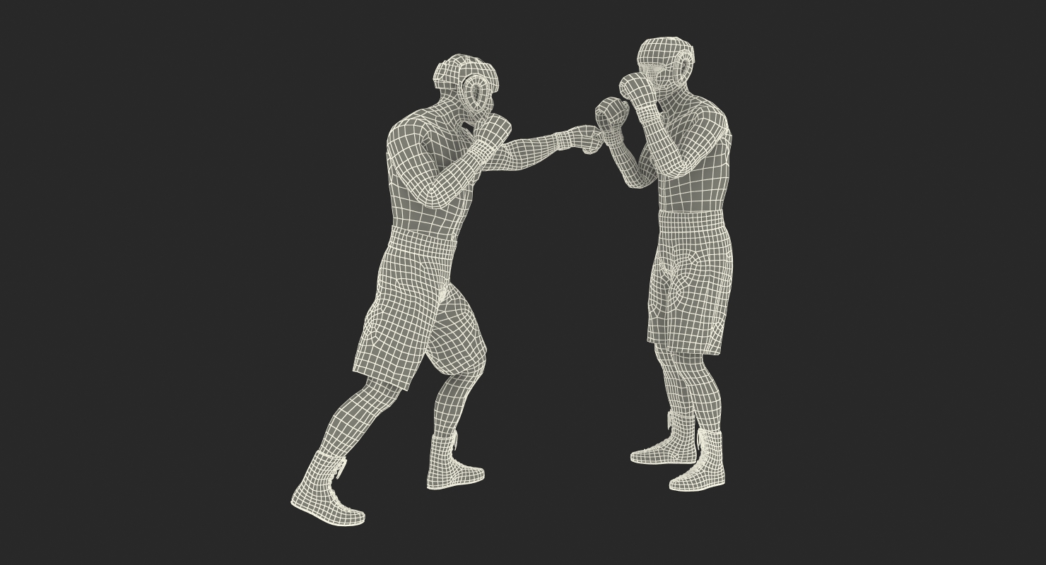 Two Boxers 3 3D