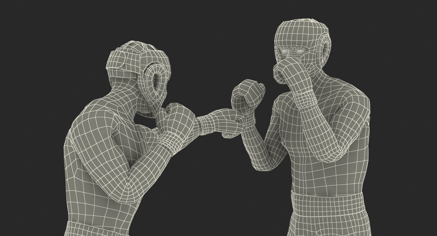 Two Boxers 3 3D