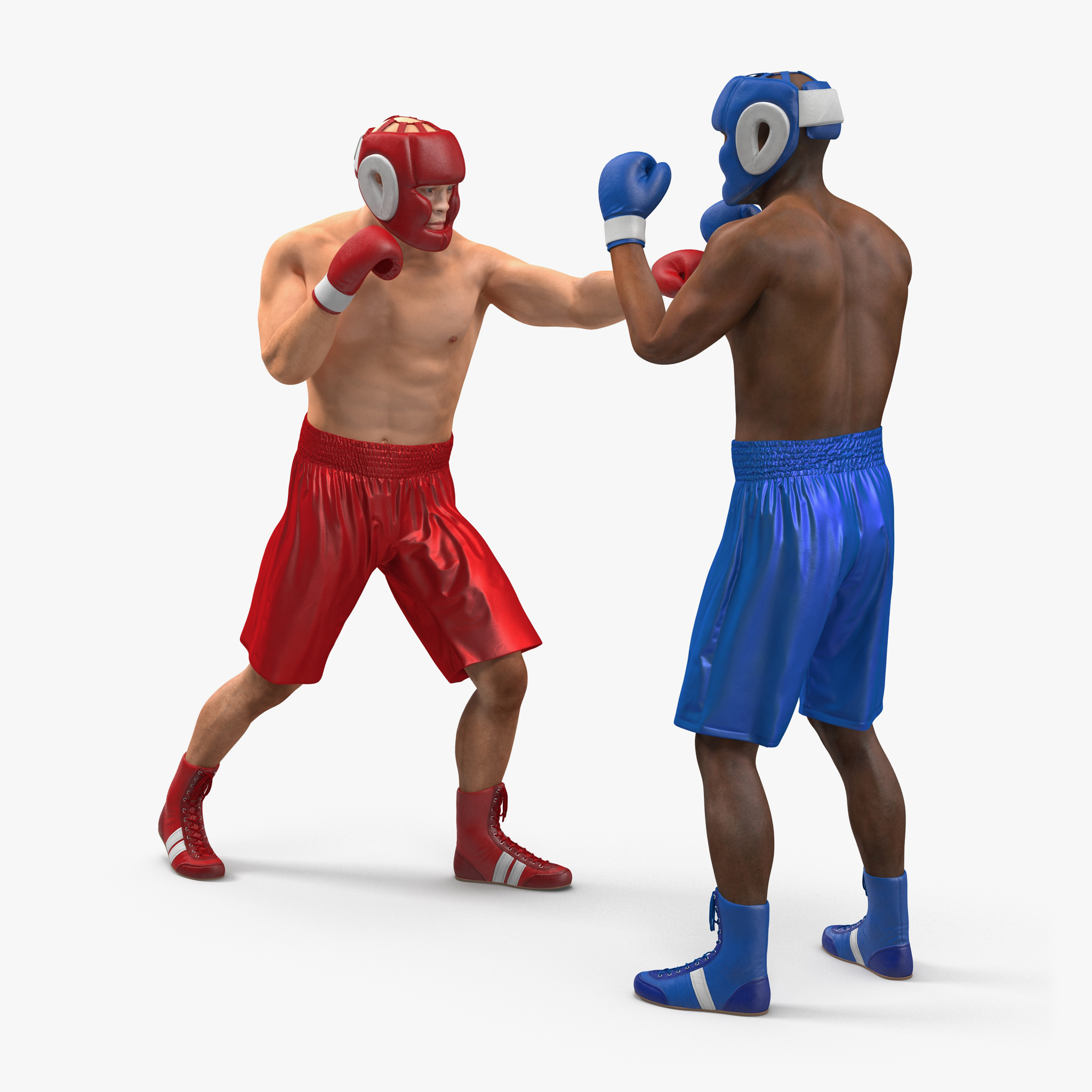 Boxers Fighting, view 7