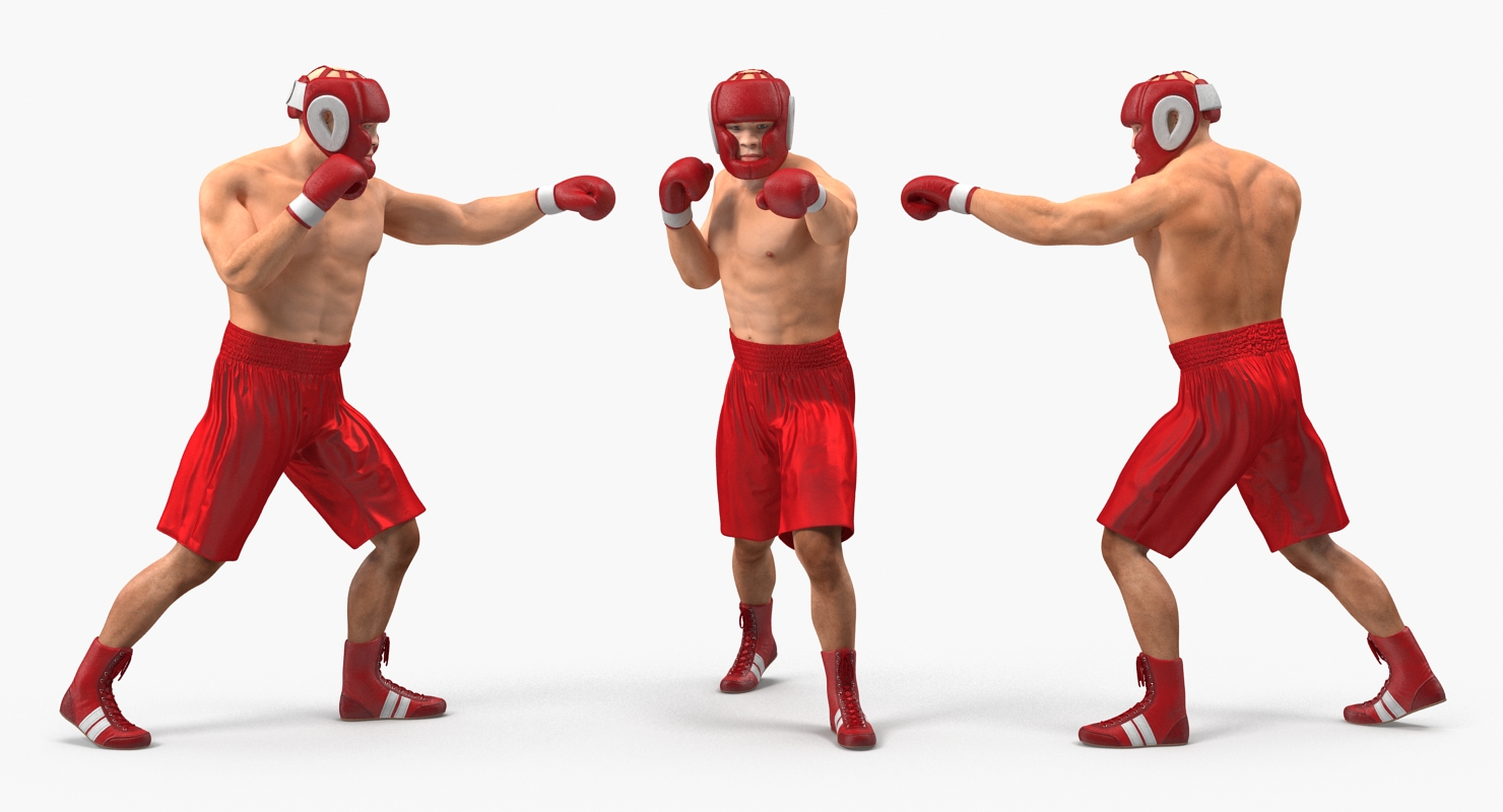 Two Boxers 3 3D