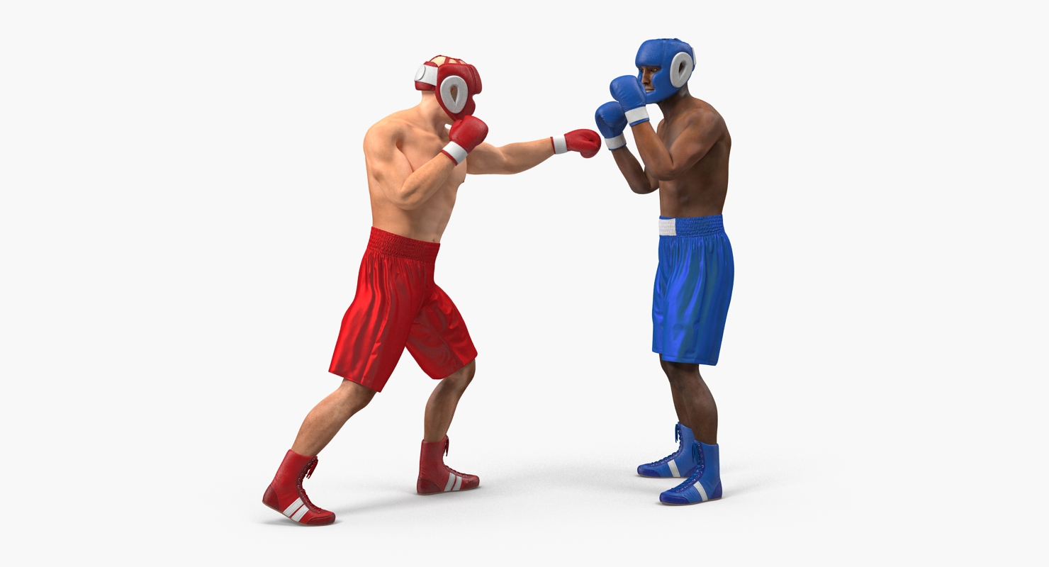 Two Boxers 3 3D