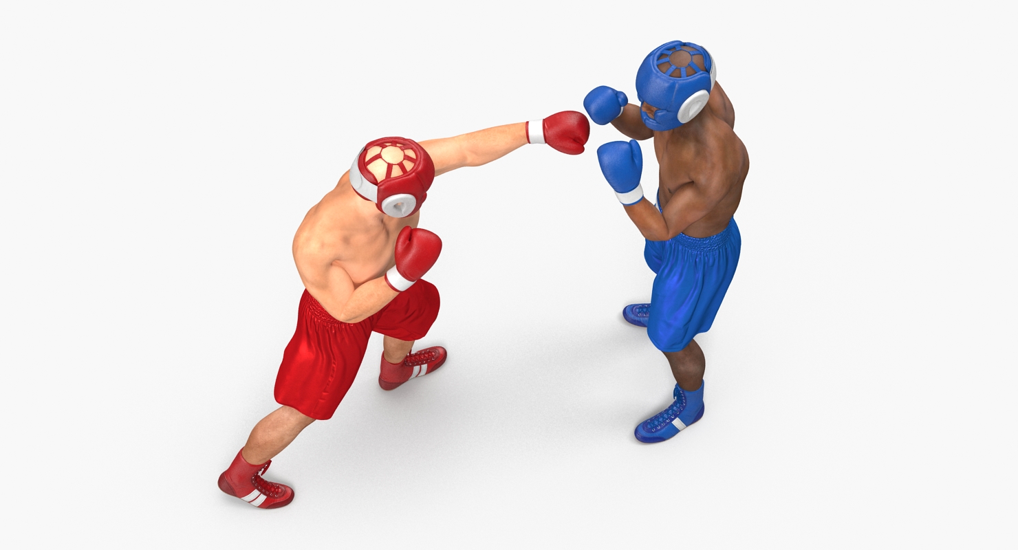 Two Boxers 3 3D