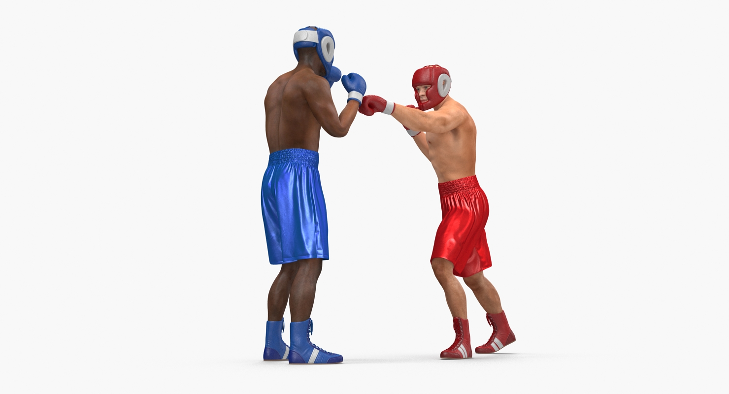 Two Boxers 3 3D