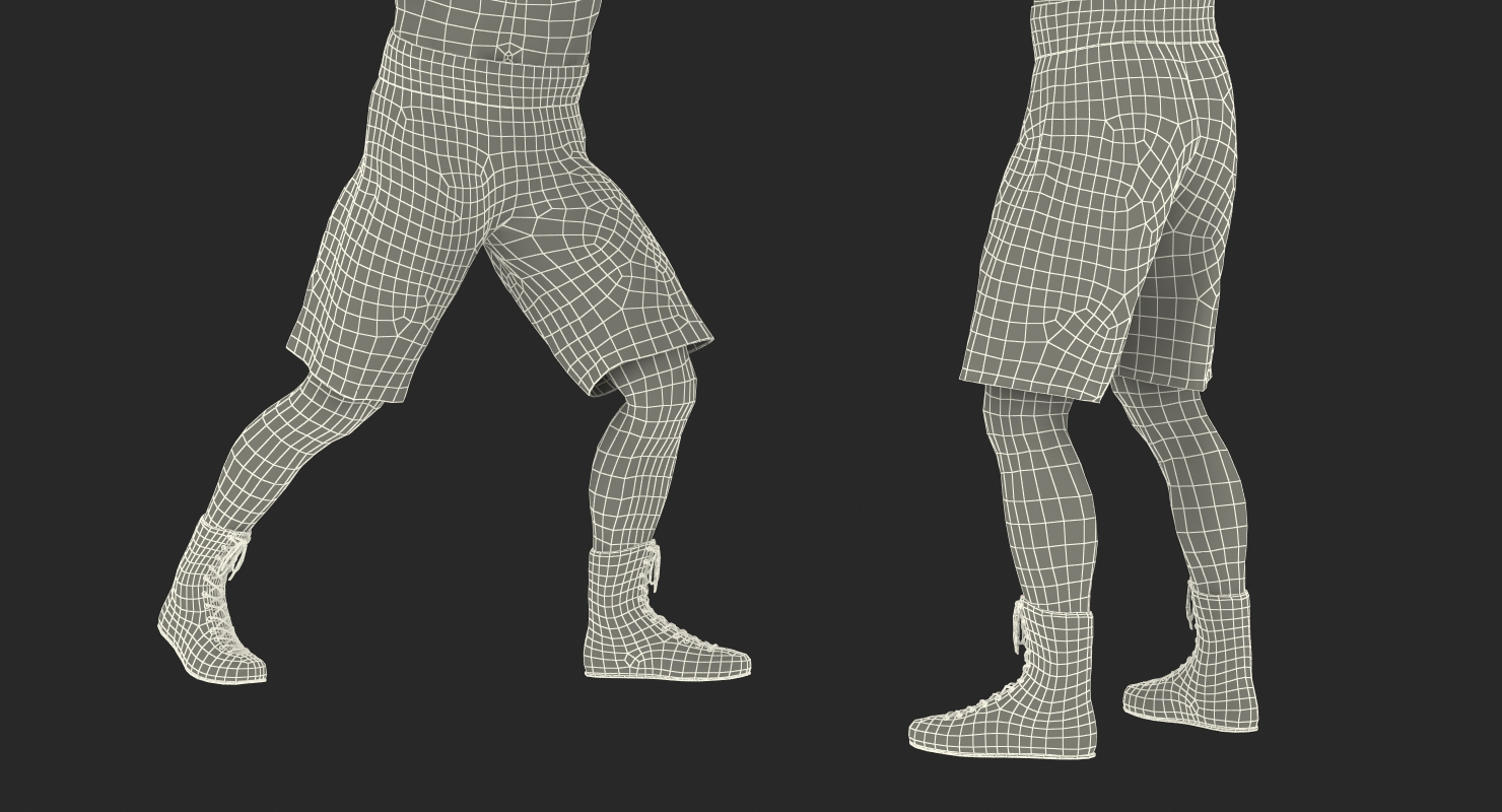 Two Boxers 3 3D