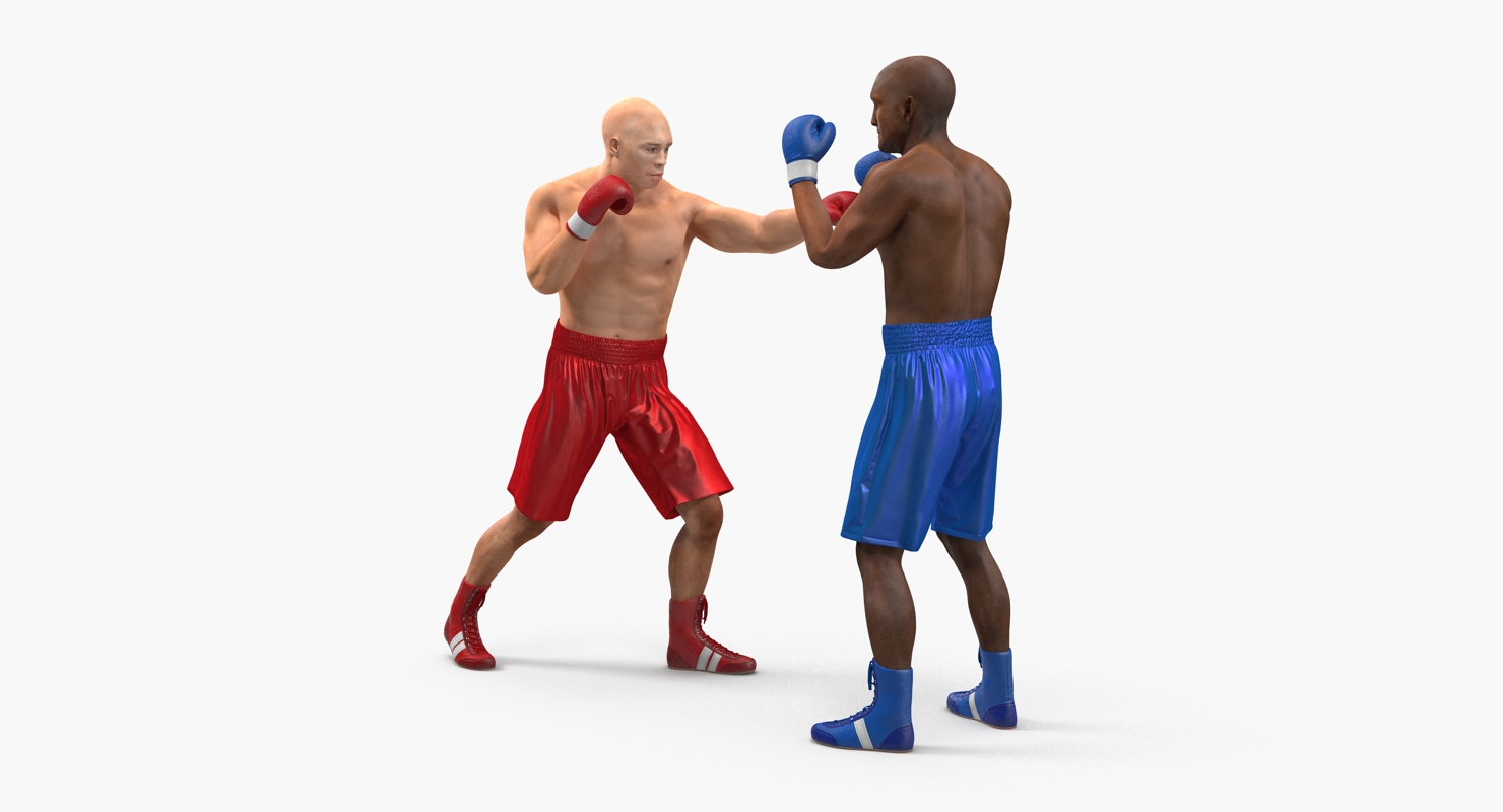 Two Boxers 3 3D