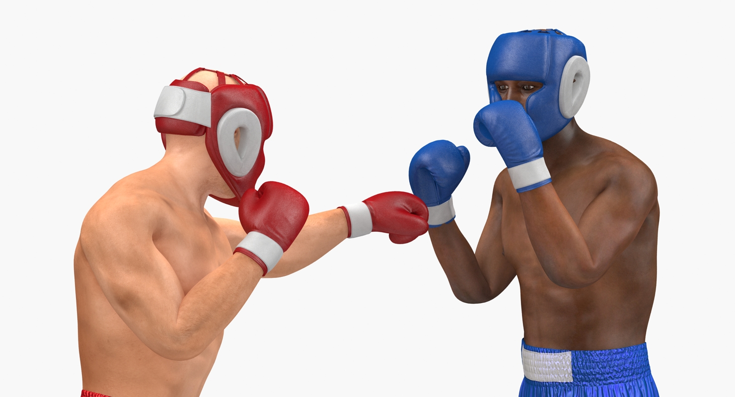 Two Boxers 3 3D