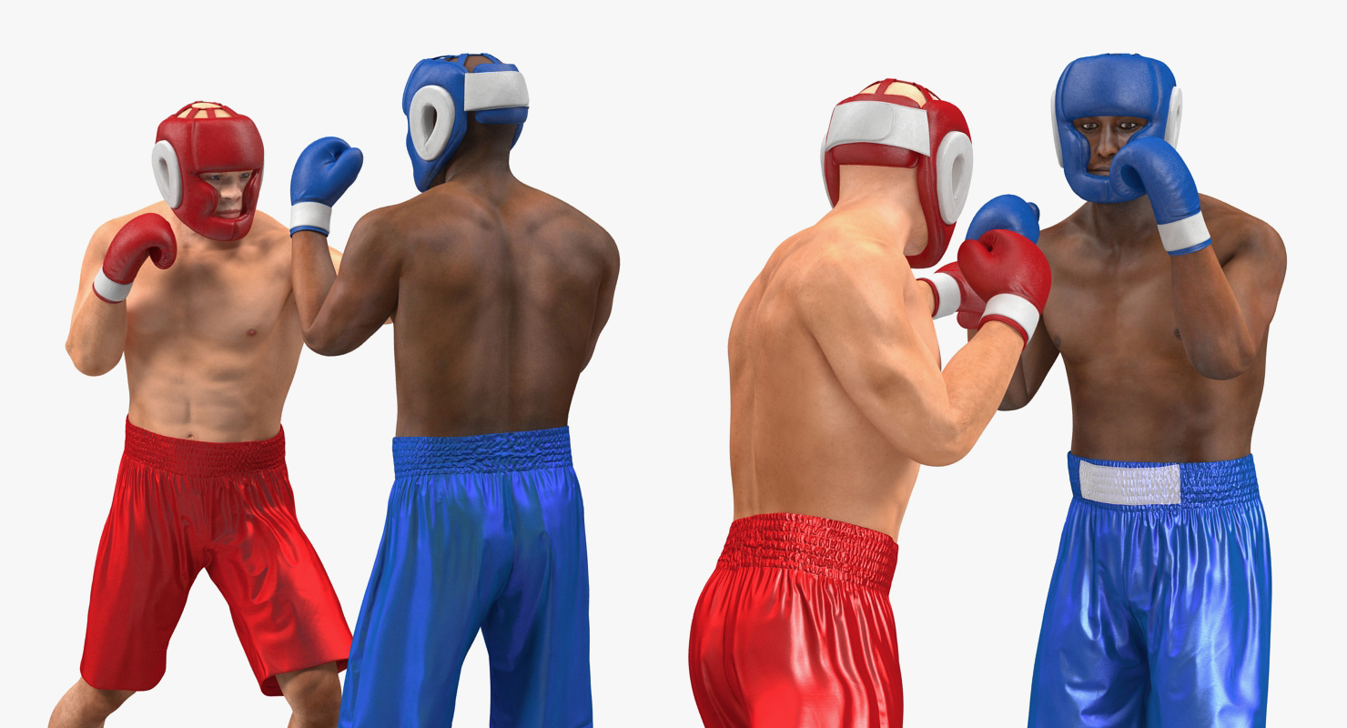 Two Boxers 3 3D