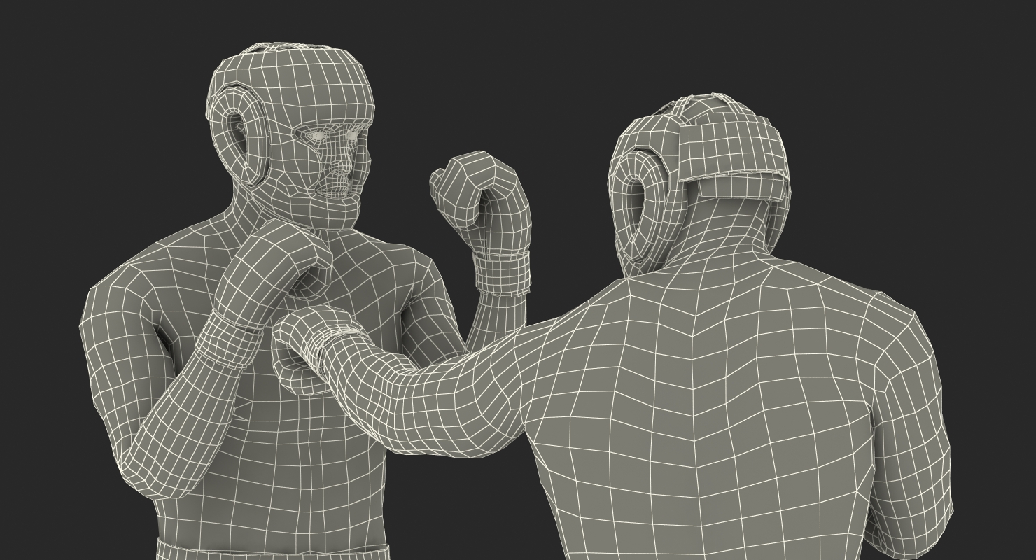 Two Boxers 3 3D