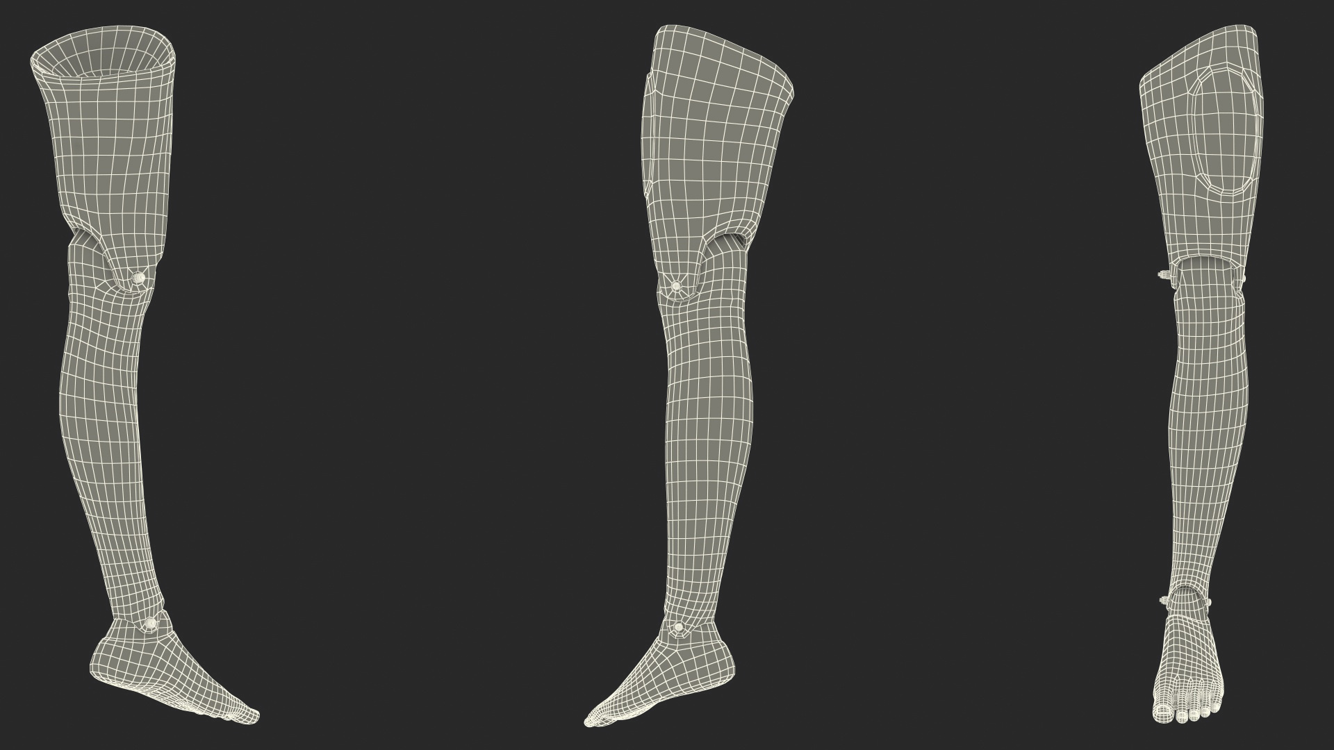 3D model First Aid Training Manikin Leg