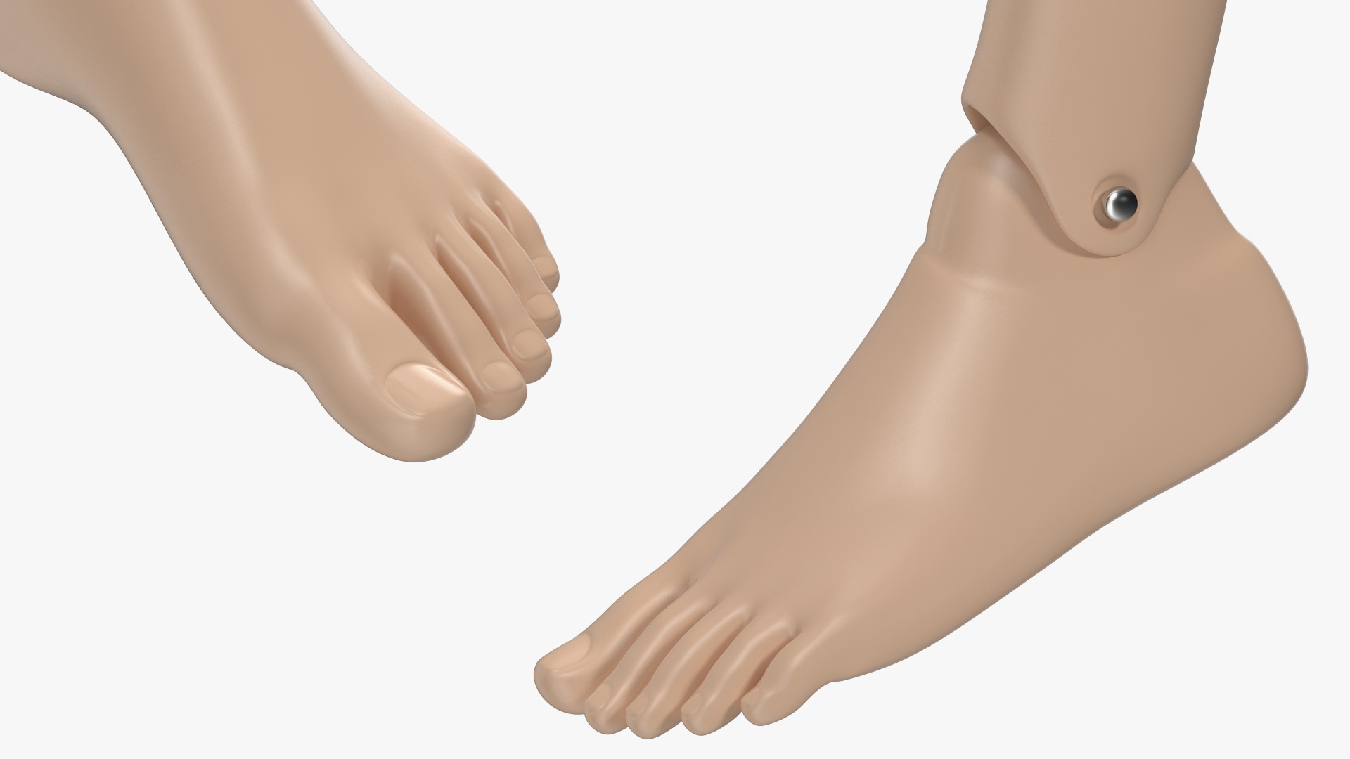 3D model First Aid Training Manikin Leg
