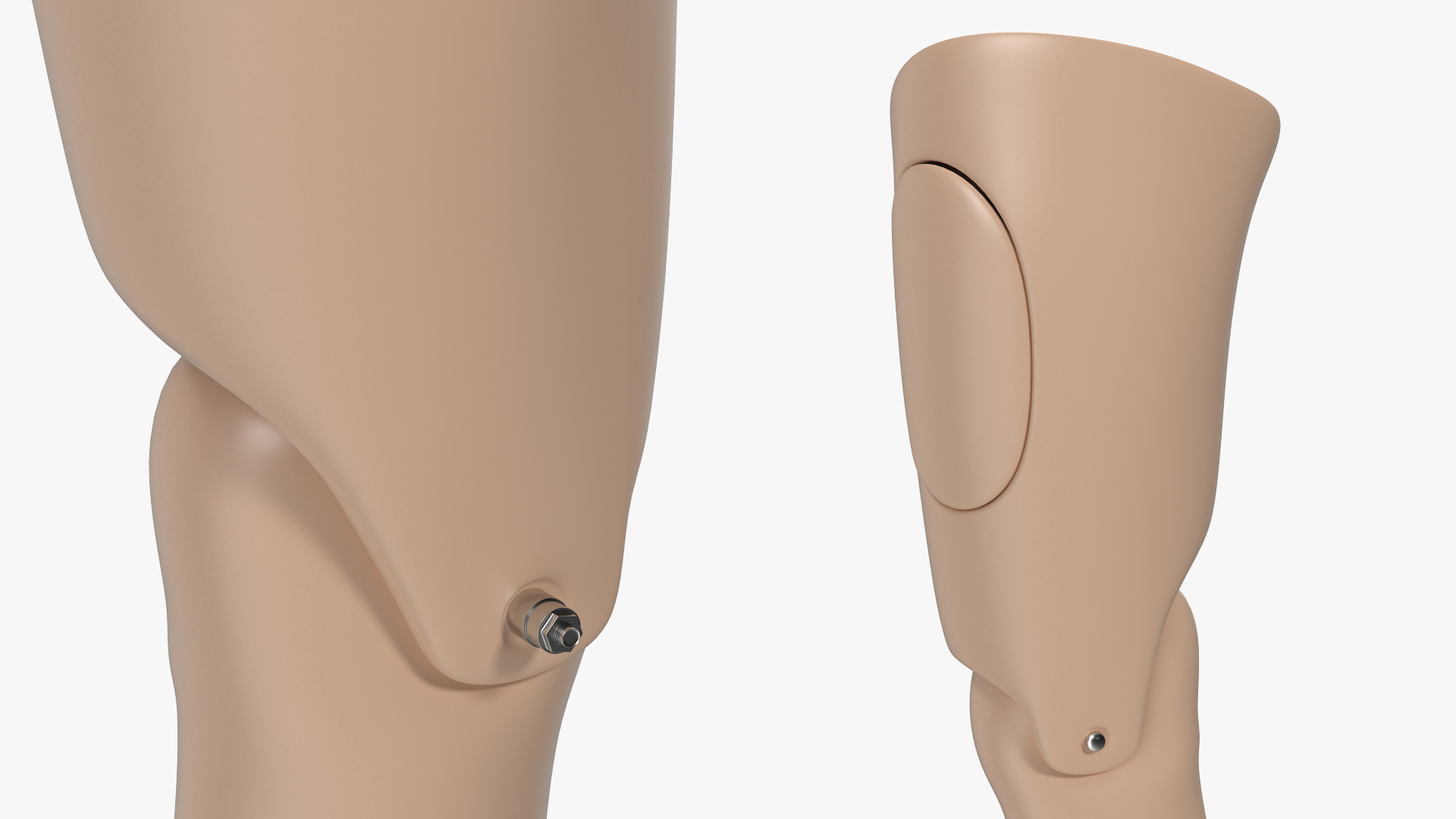 3D model First Aid Training Manikin Leg