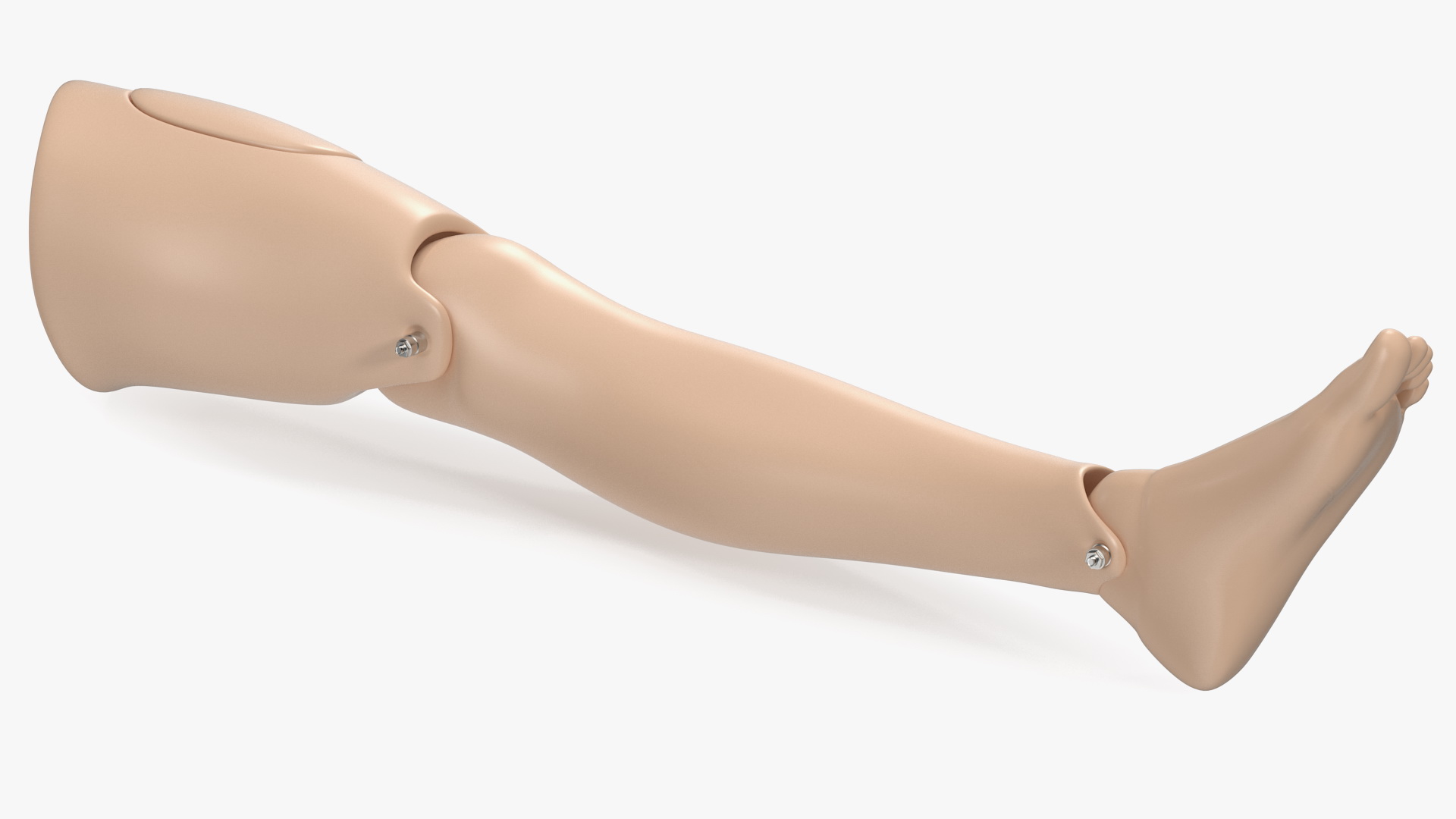 3D model First Aid Training Manikin Leg