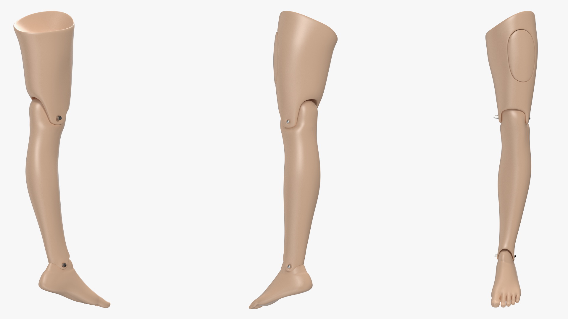 3D model First Aid Training Manikin Leg