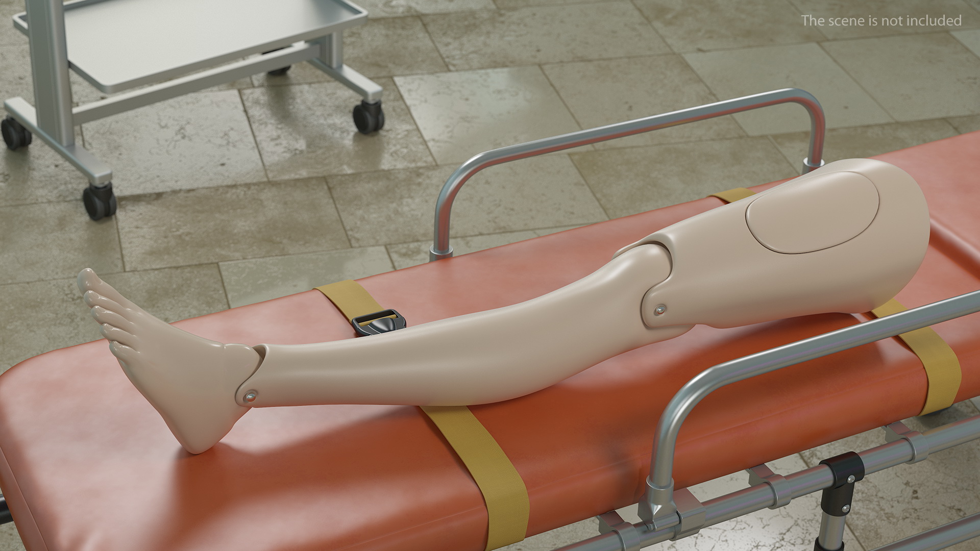 3D model First Aid Training Manikin Leg