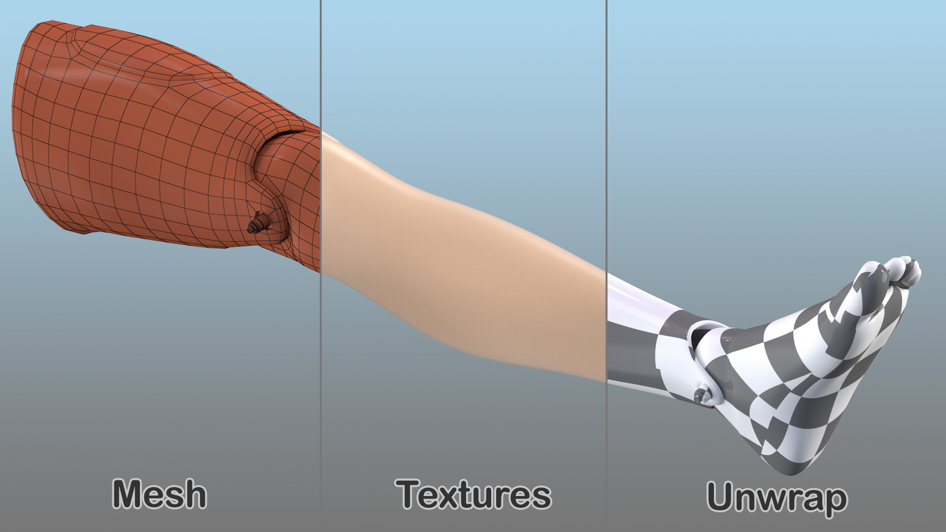 3D model First Aid Training Manikin Leg