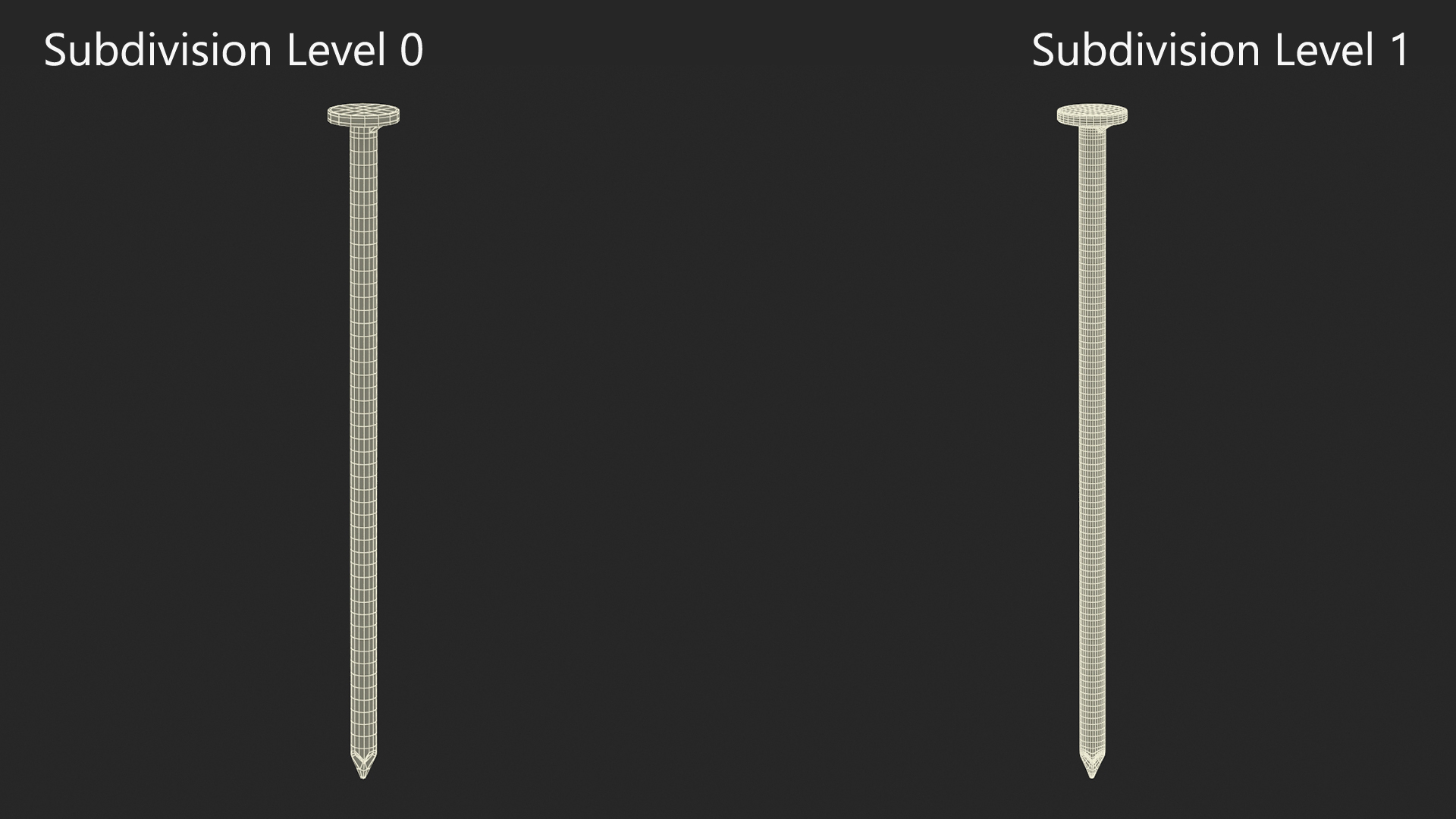 3D model Pole Barn Nails