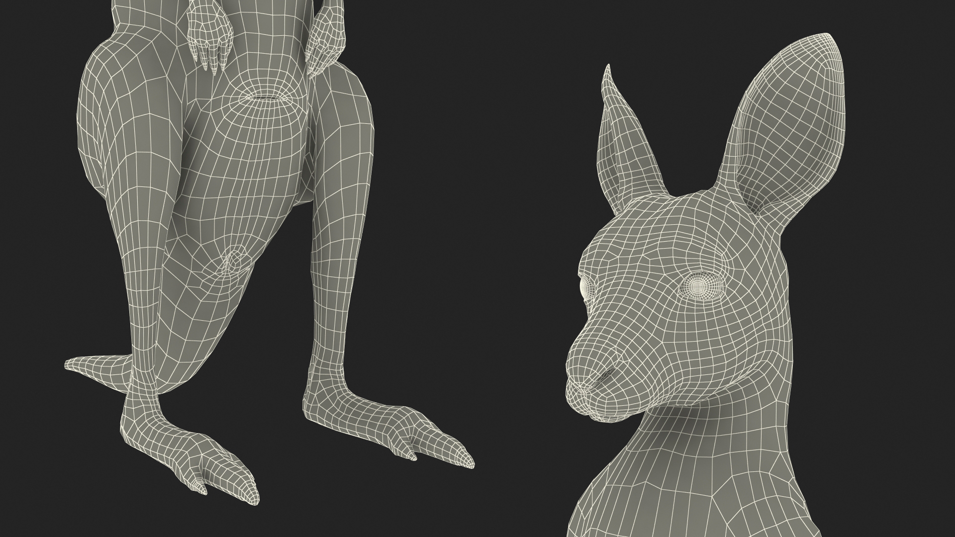 Baby Kangaroo in Standing Pose Fur 3D model