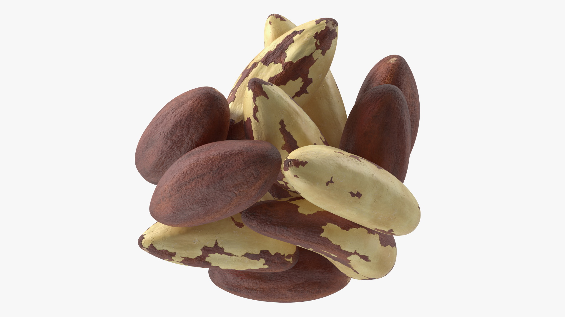 Bowl of Brazil Nuts 3D model