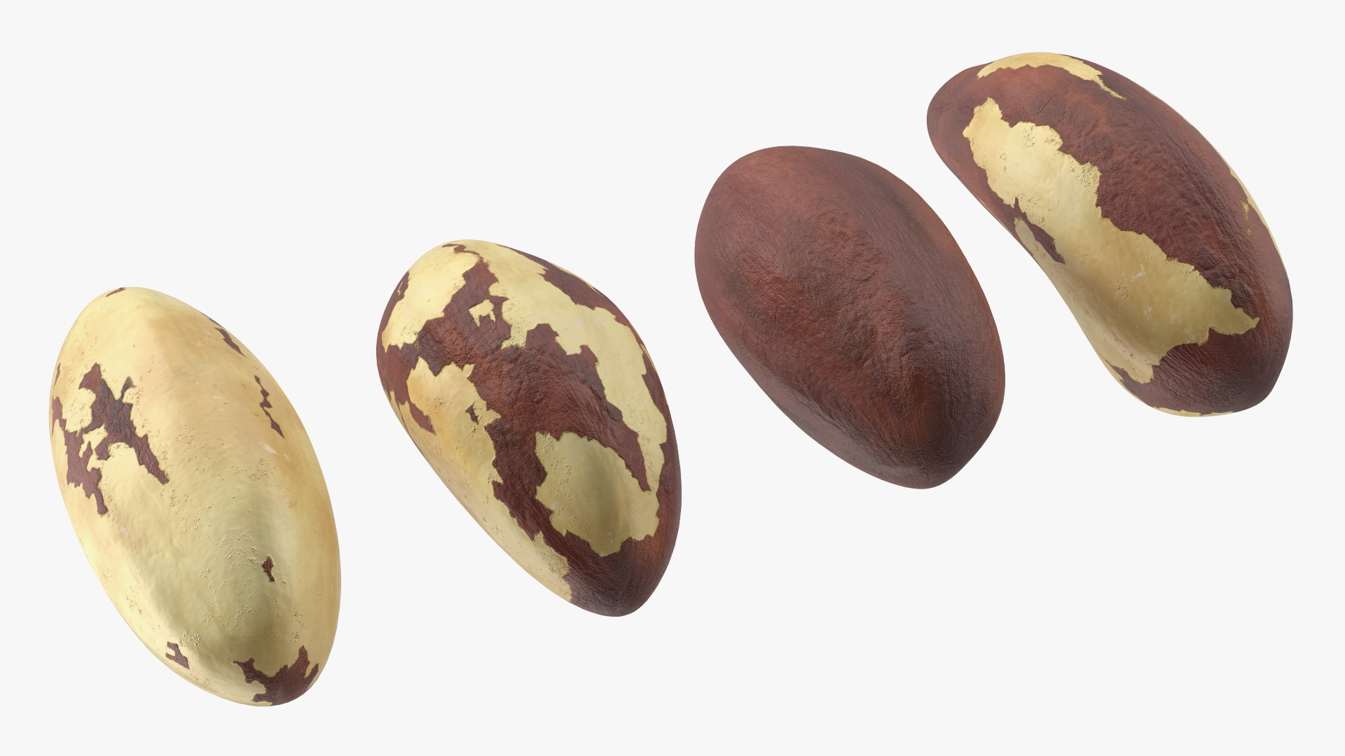 Bowl of Brazil Nuts 3D model