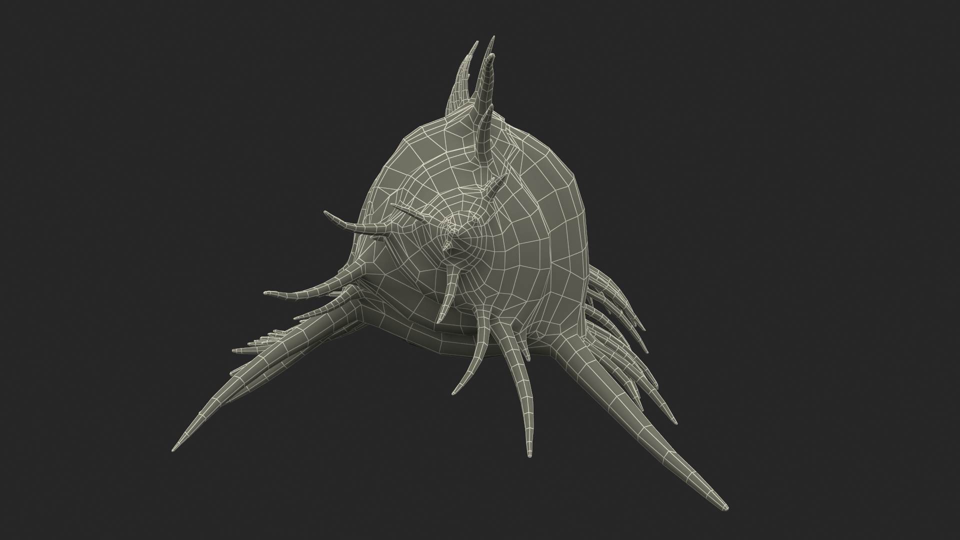 3D Seashell Venus Comb Murex White