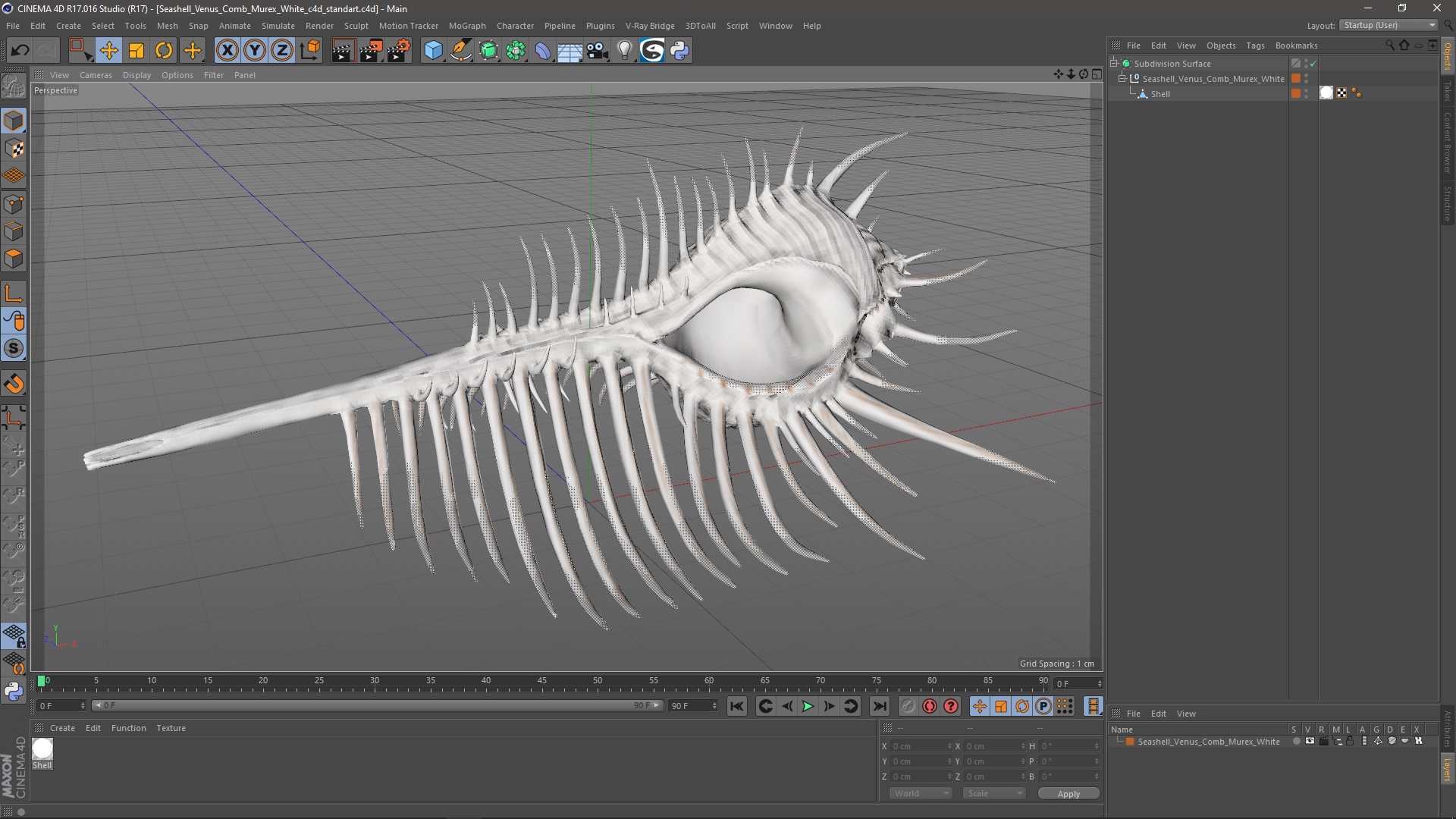 3D Seashell Venus Comb Murex White
